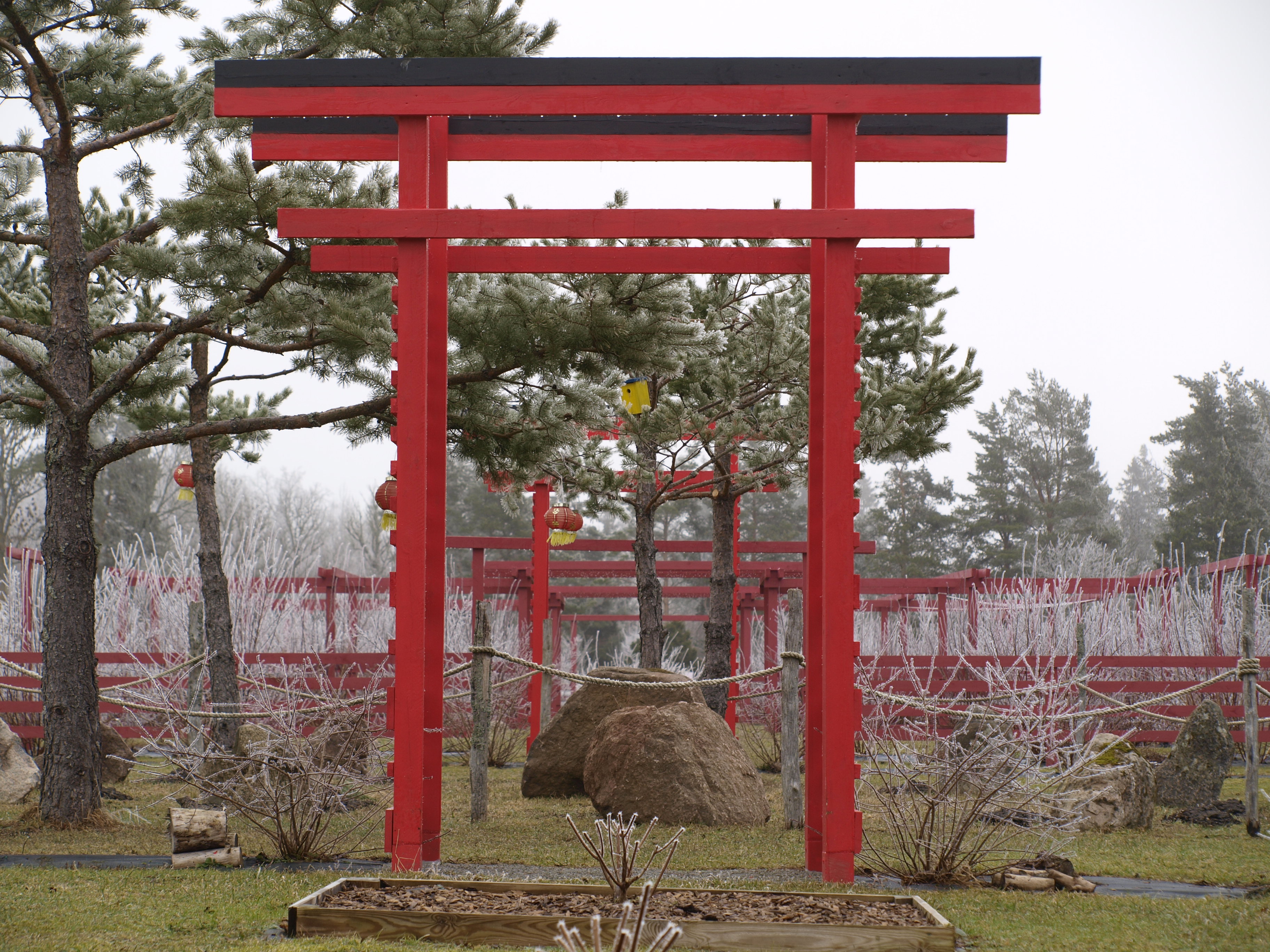 Saaremaa Peony Gardens
