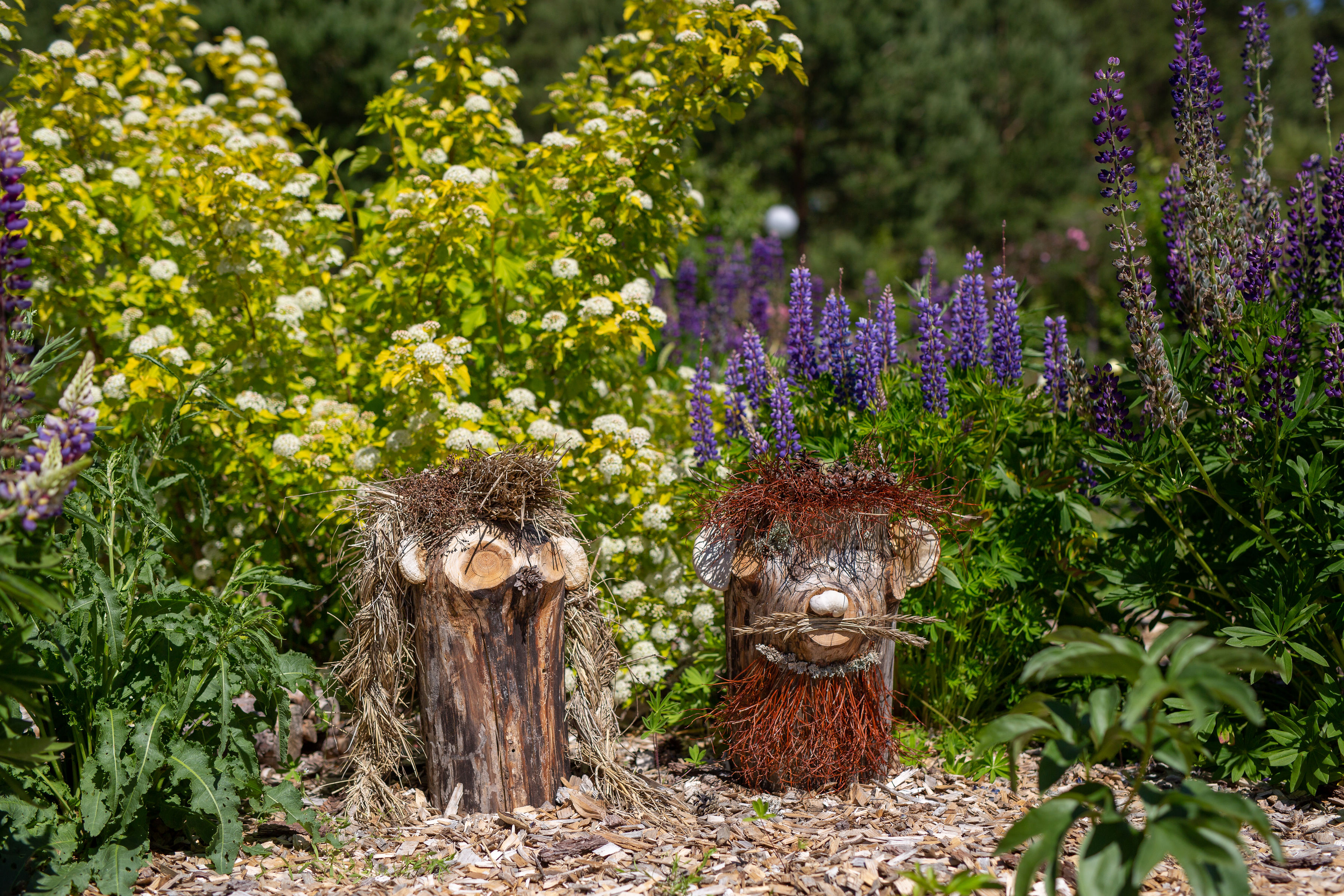 Saaremaa Peony Gardens