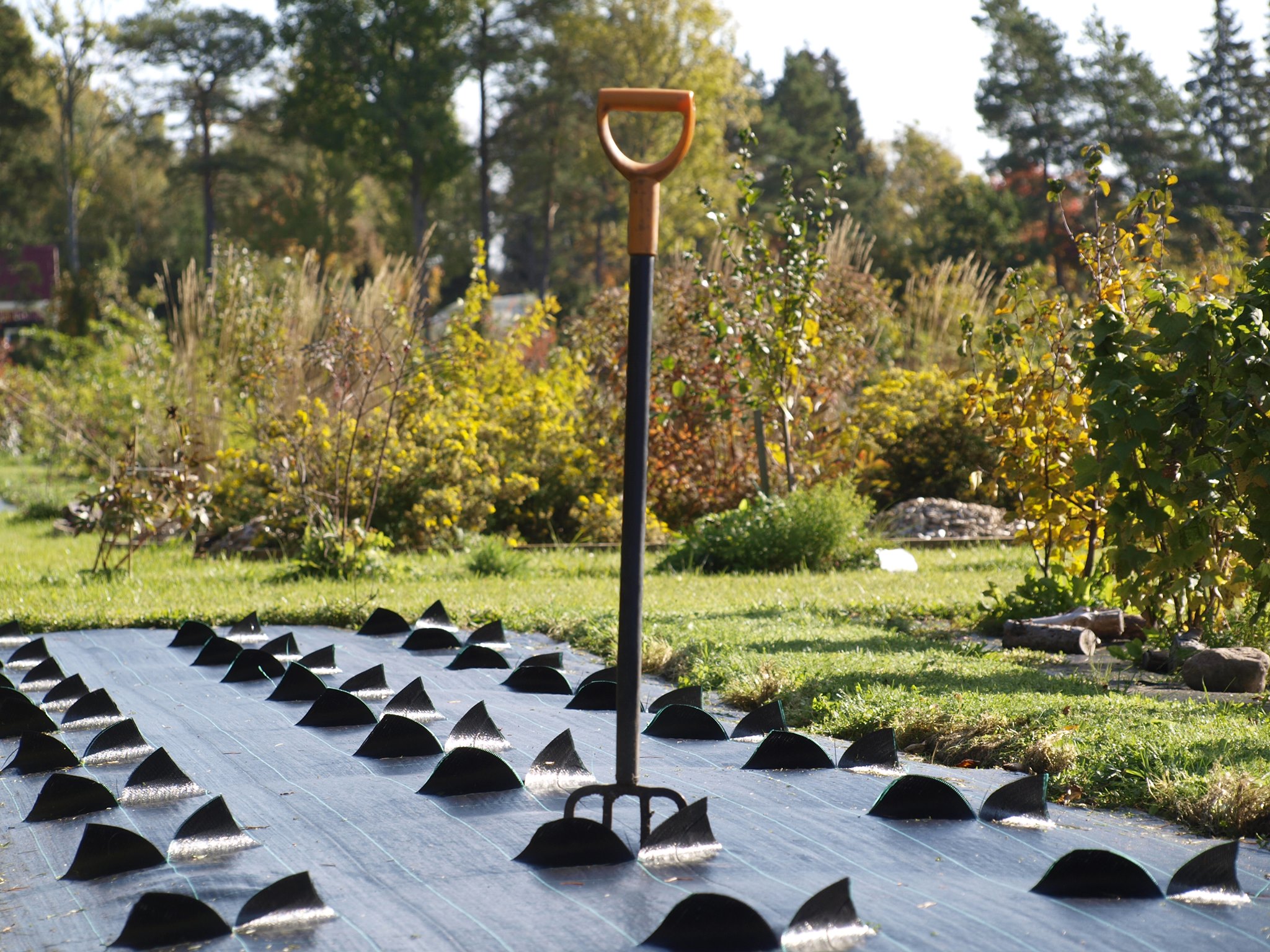 Saaremaa Peony Gardens uue peenra rajamine