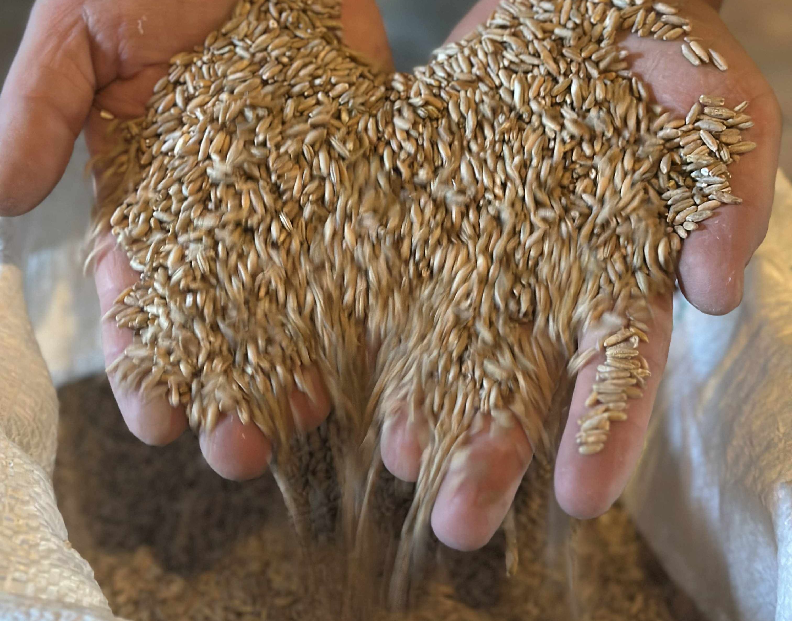 Tartumaal saab osa Veskimuuseumi elamusprogrammist igale vanusele