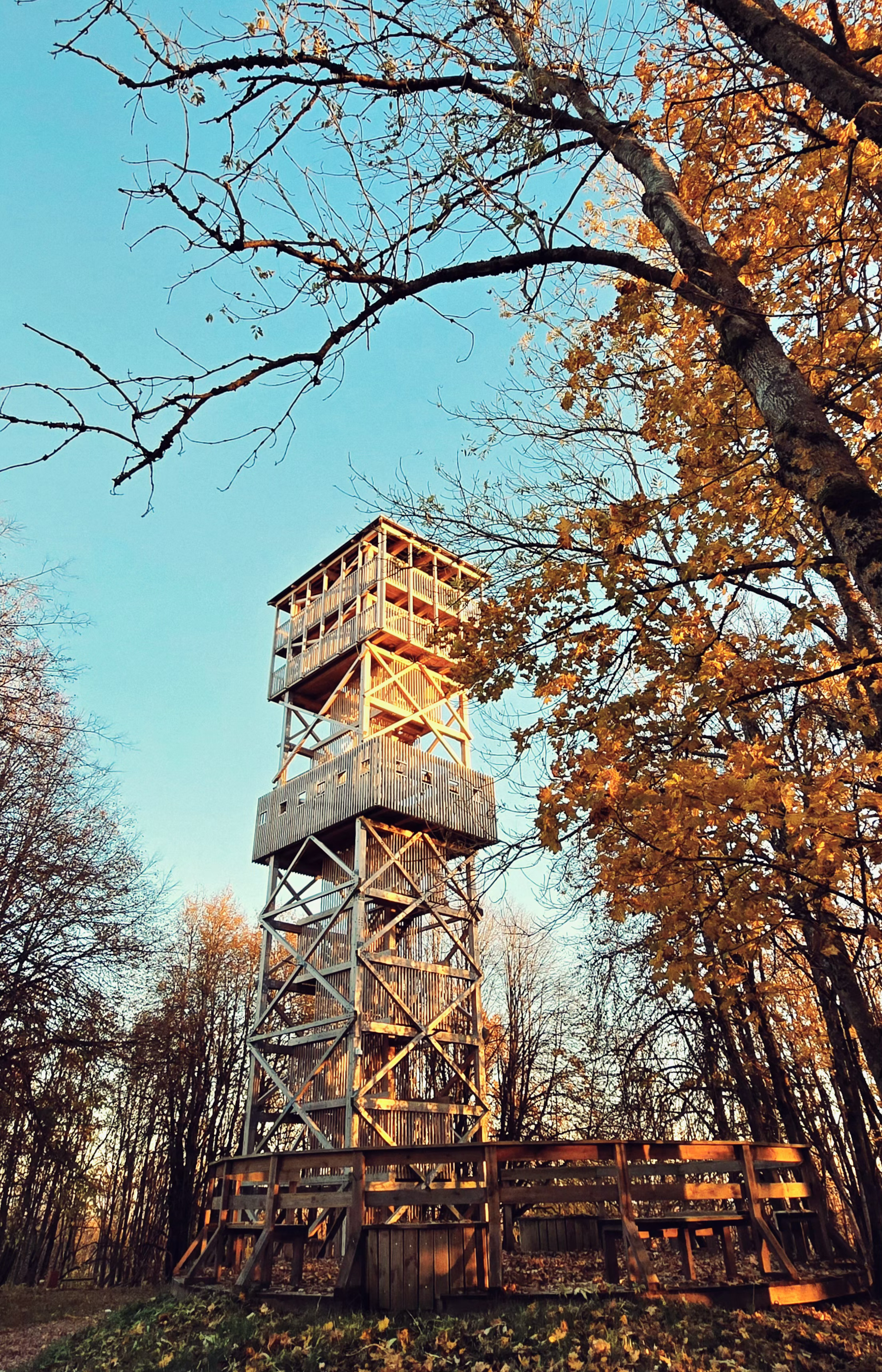 Sinimägede vaatetorn sügisel