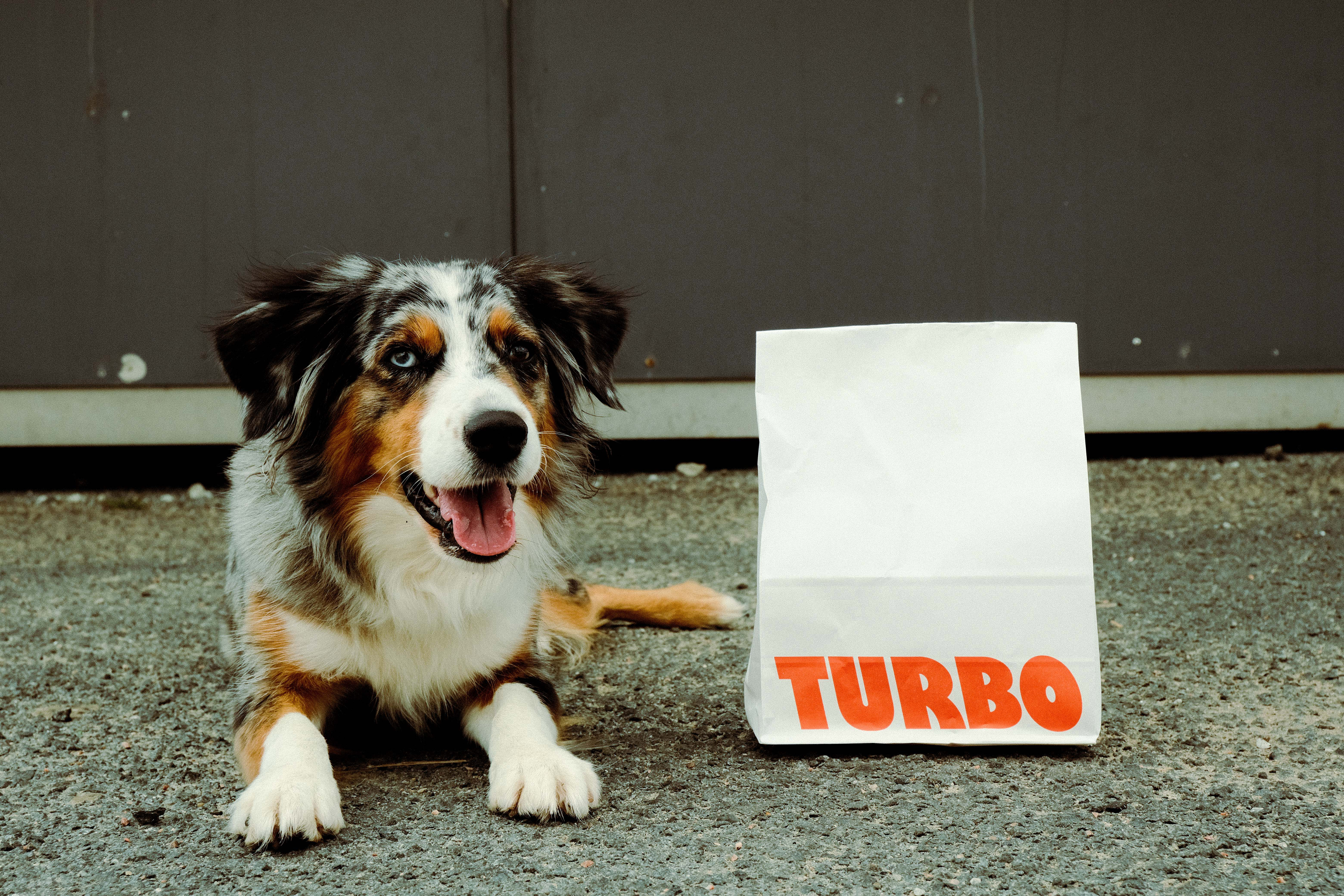 Turbo Burger koos neljajalgse sõbraga