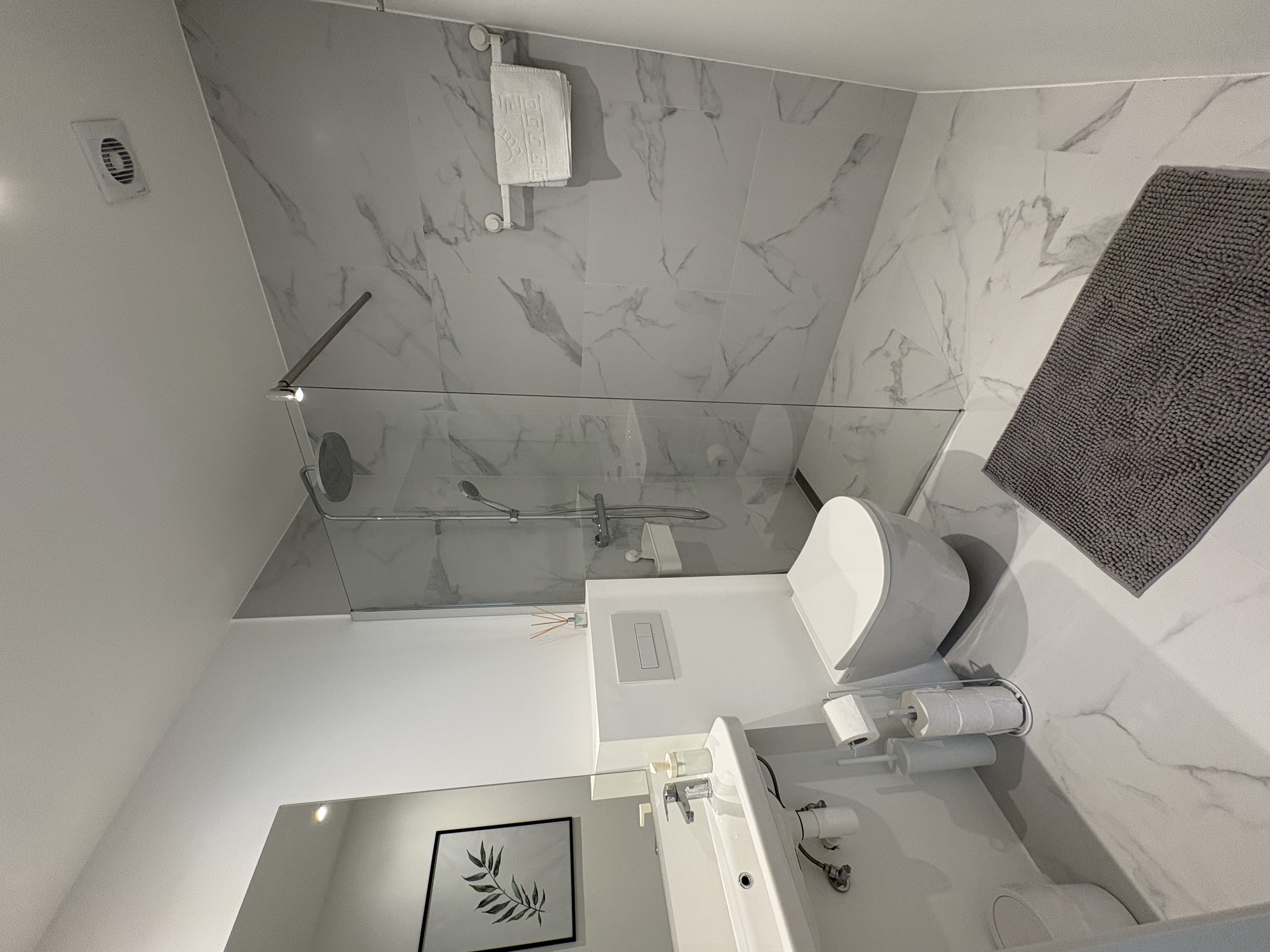 Valge maja stuudiokorteri tualett koos dushiga