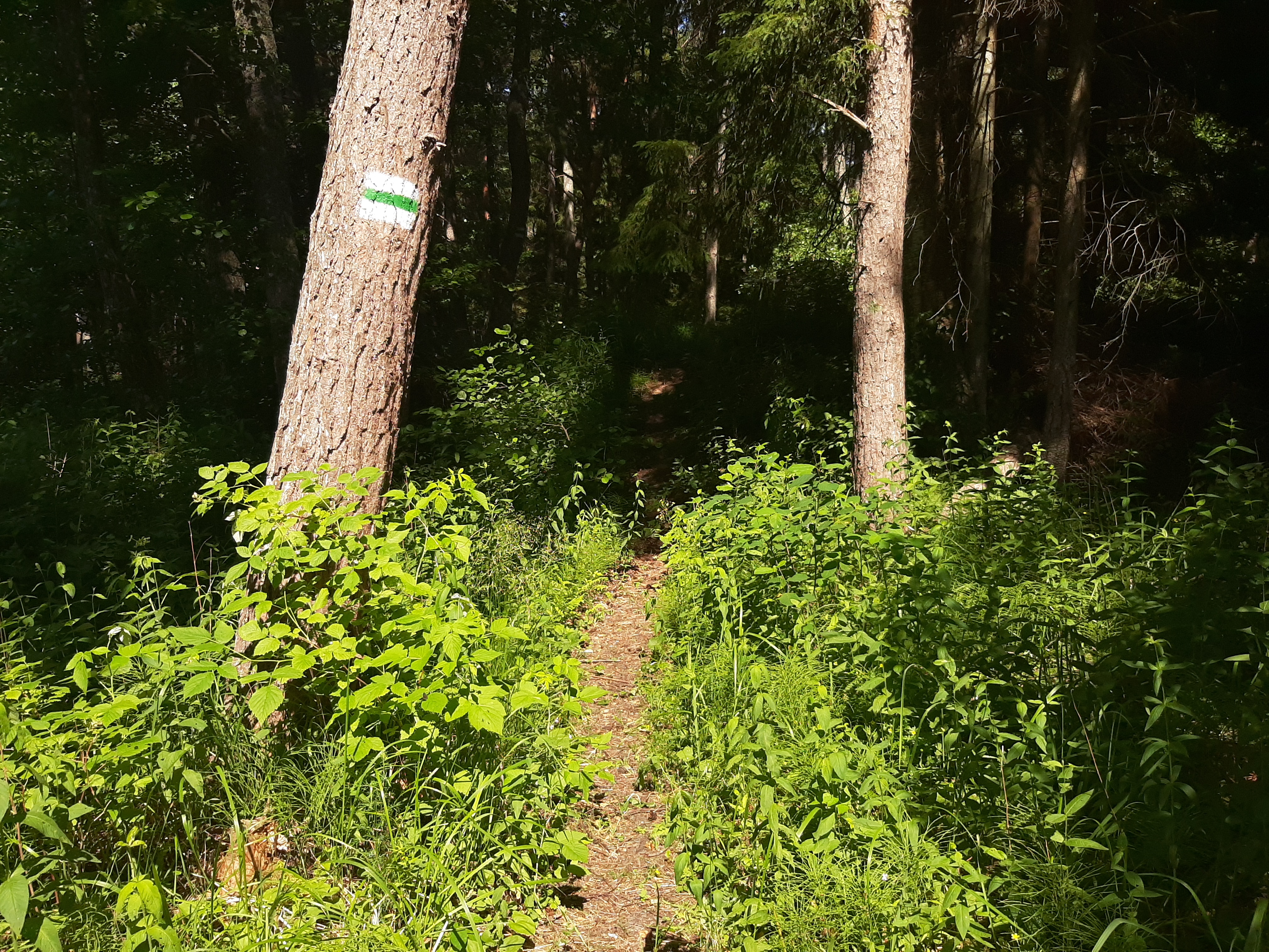 Ristna õpperada Ristna külastuskeskuse juures