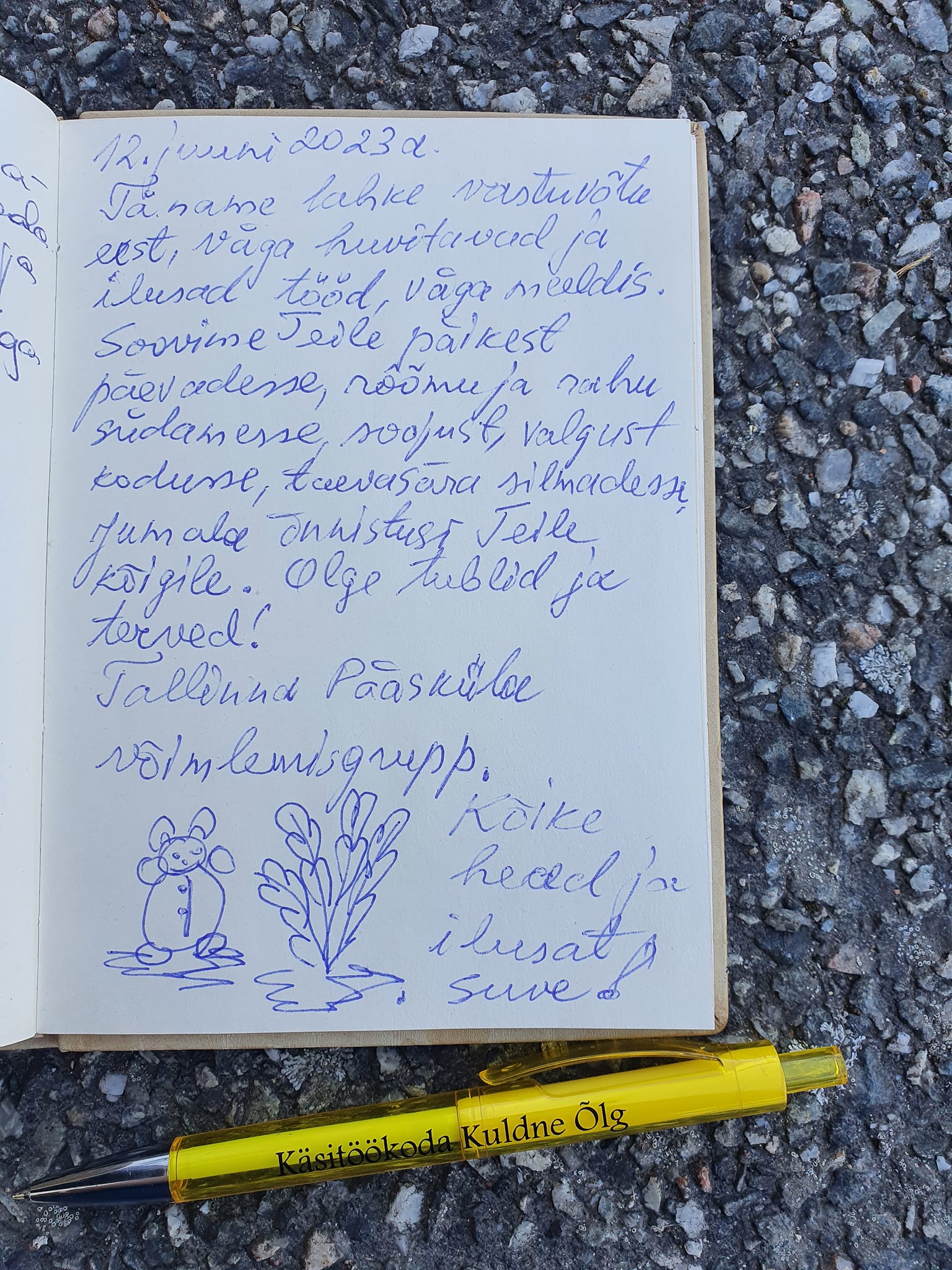 Külastaja tagasiside