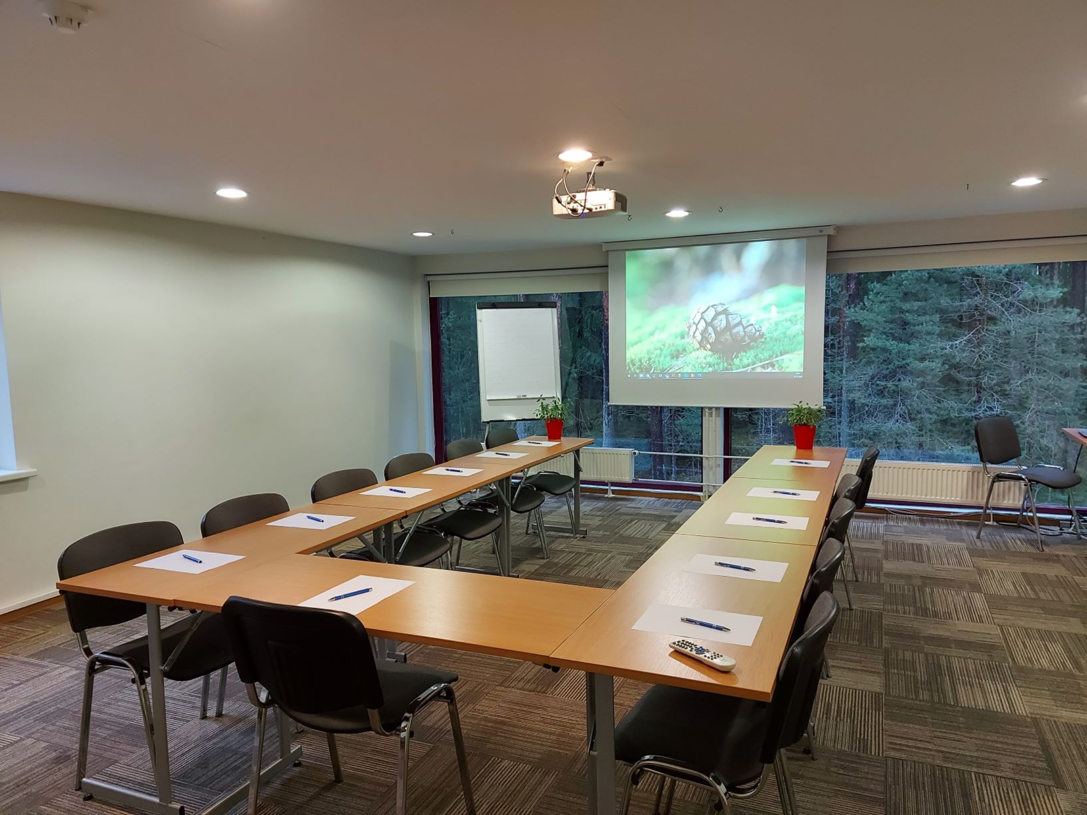 Kubija hotell-looduspaa nõupidamisteruum Kuusk