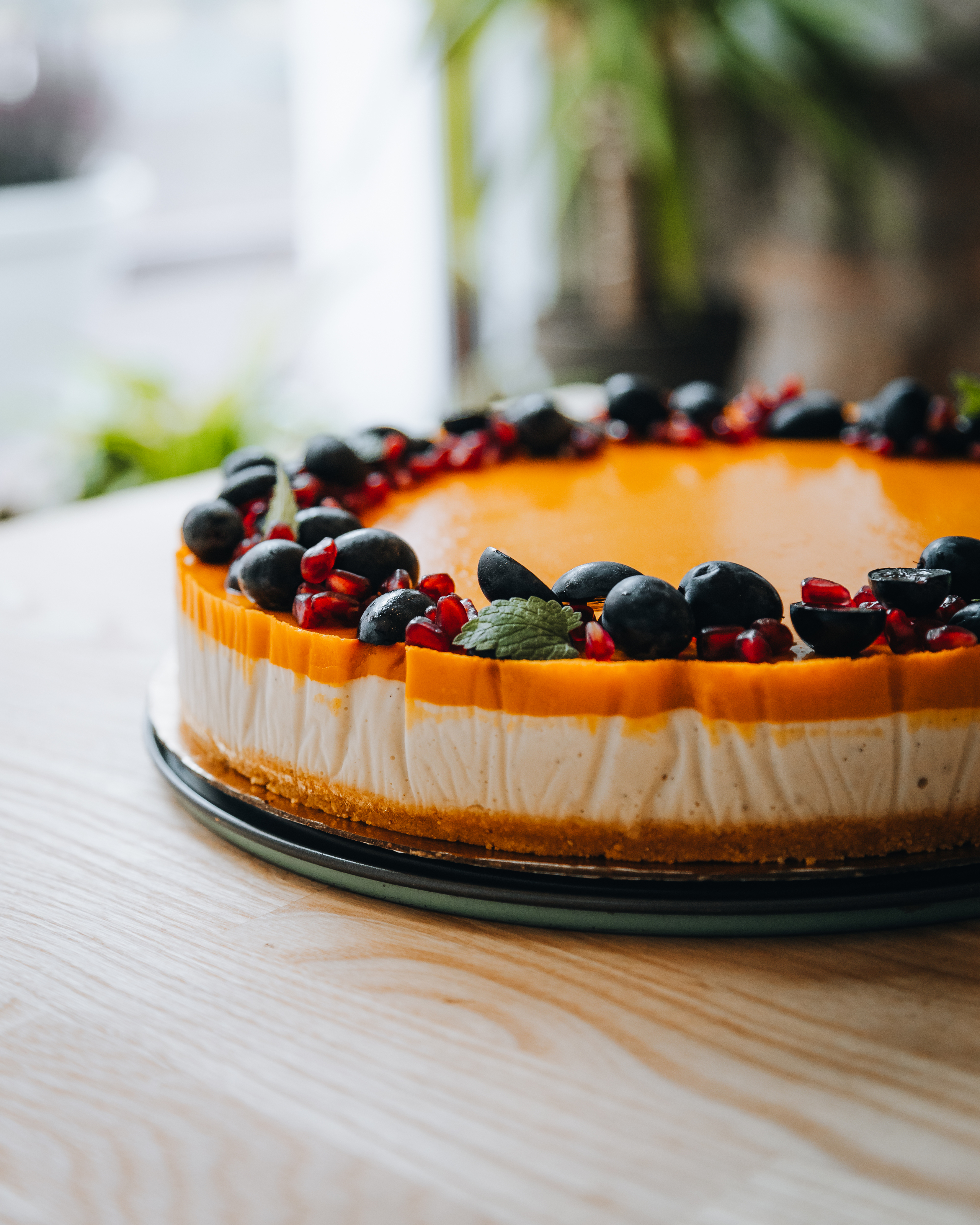 Liana Kohviku astelpajukook