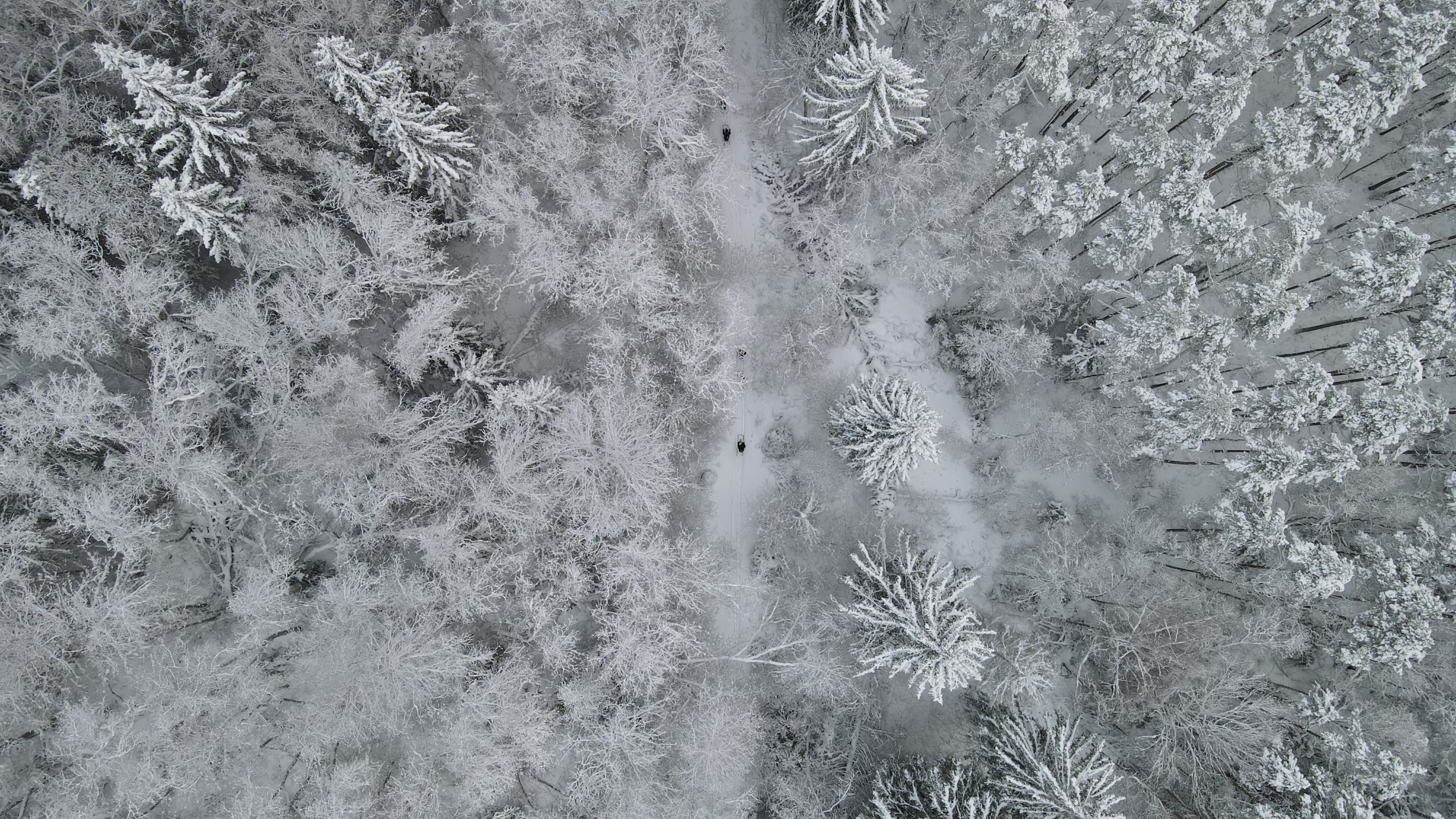 Kelgutajad linnulennult