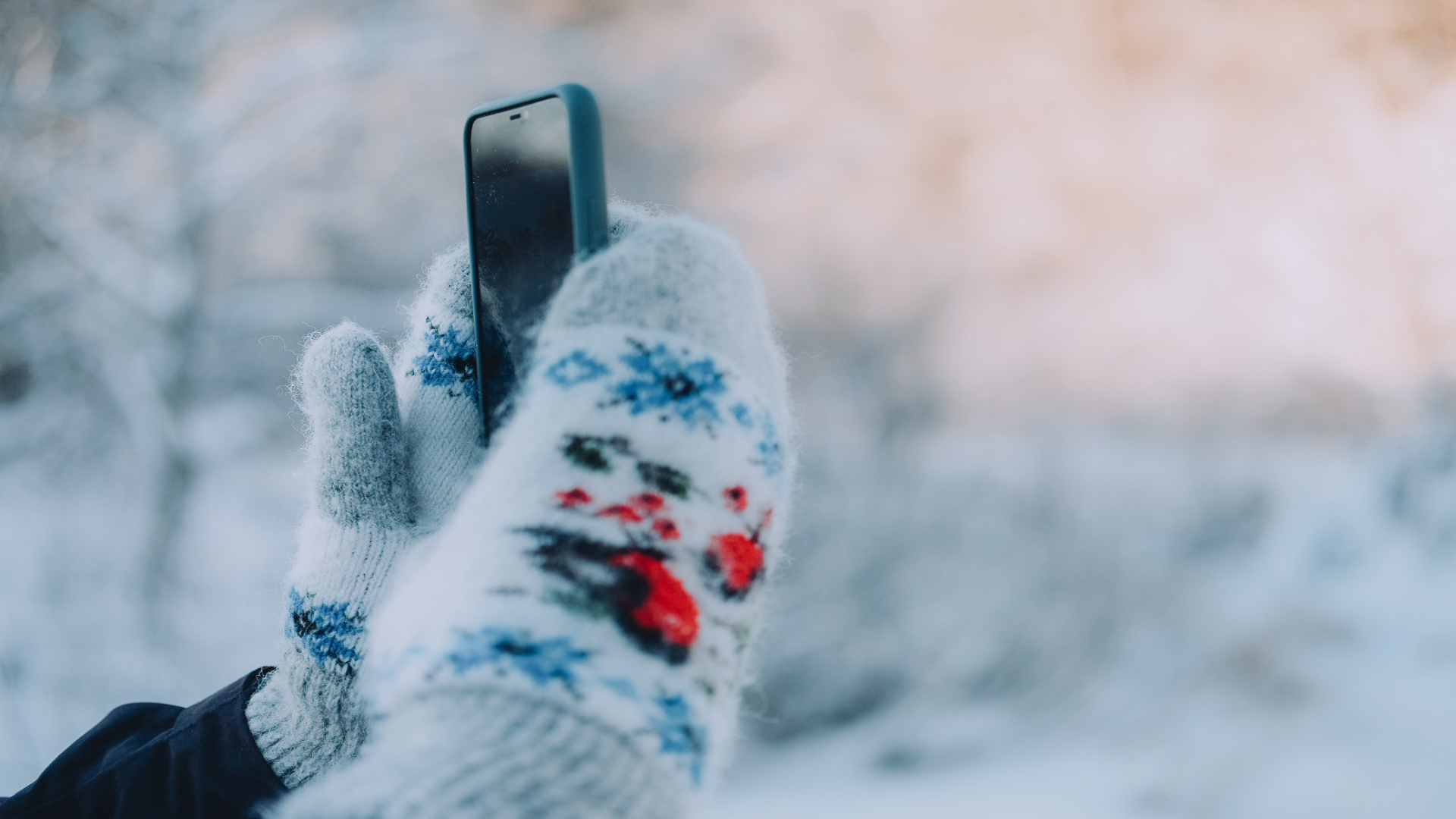 Kadrioru jõuluturg ja toidufestival