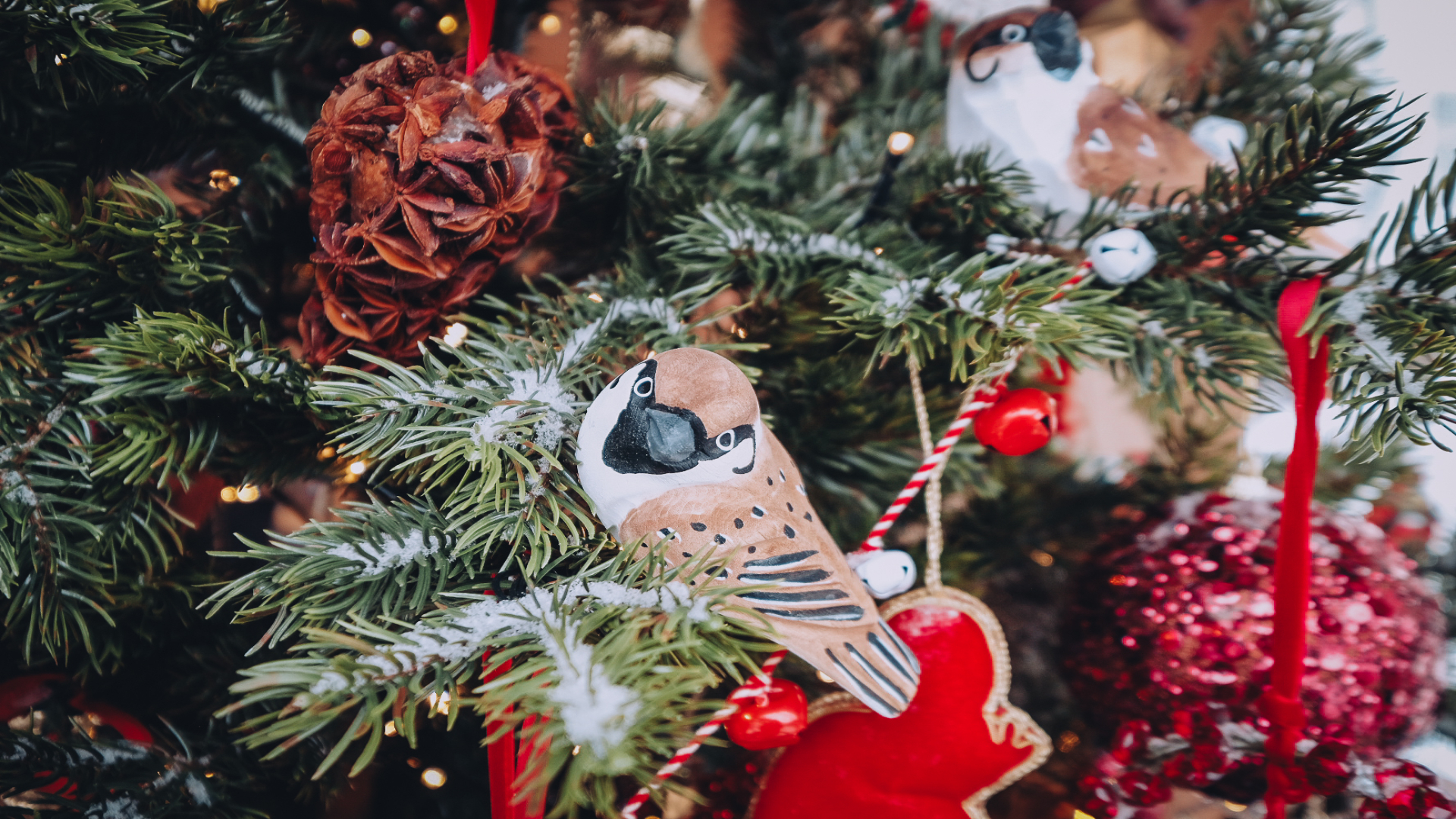 Kadrioru jõuluturg ja toidufestival