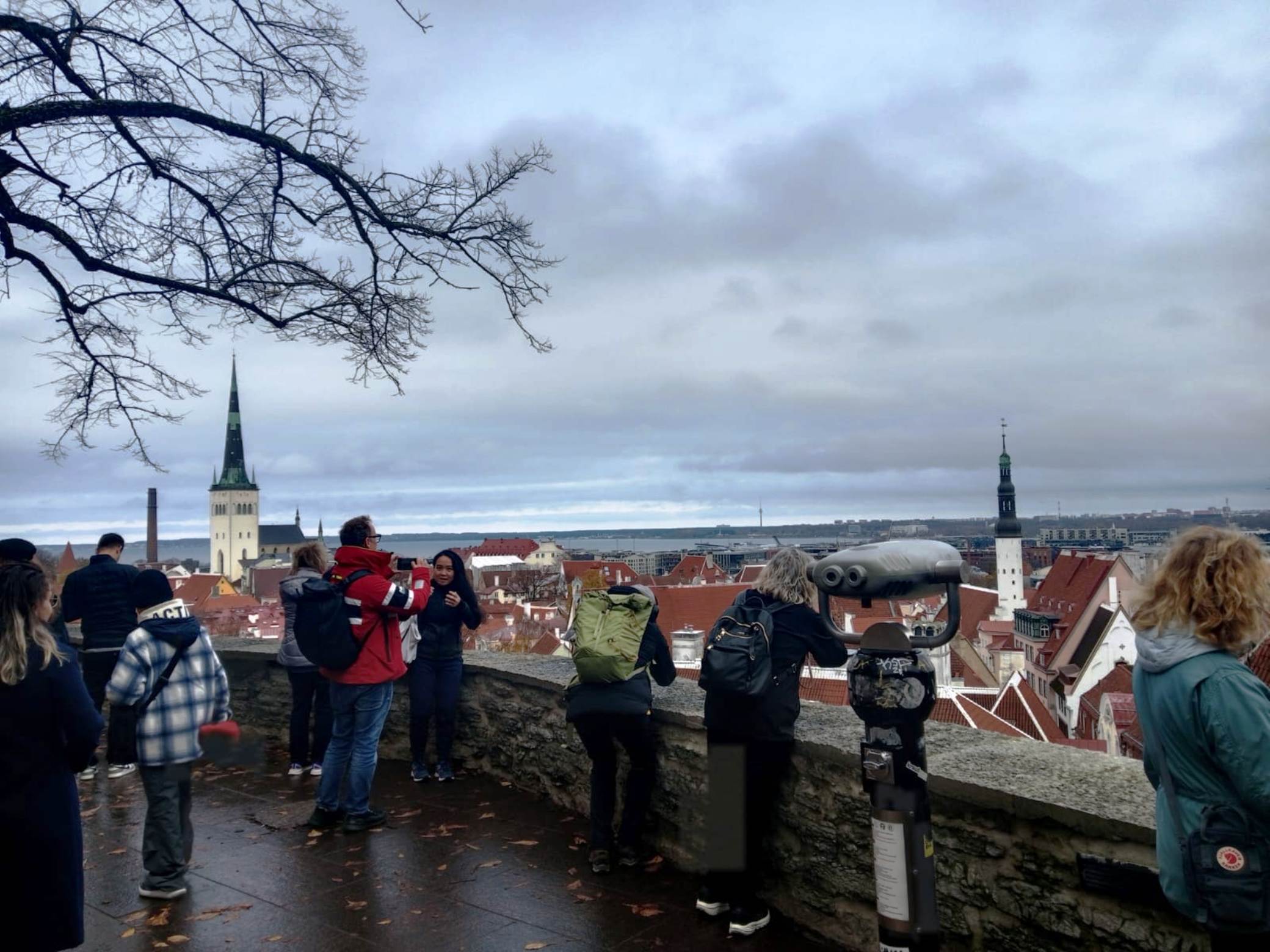 A view of Tallinn Old Town from Kohtuotsa viewing platform