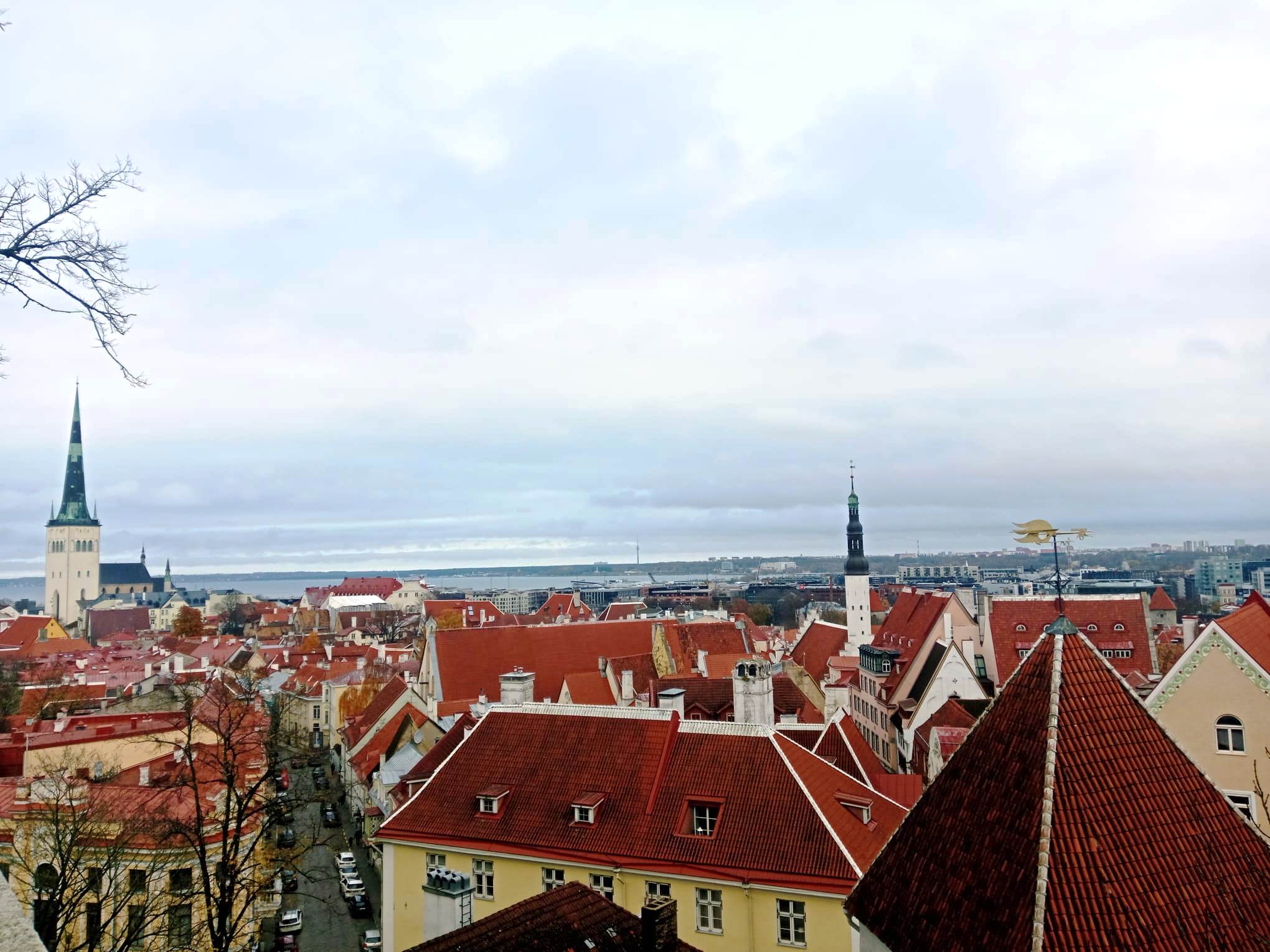 A view of Tallinn Old Town from Kohtuotsa viewing platform