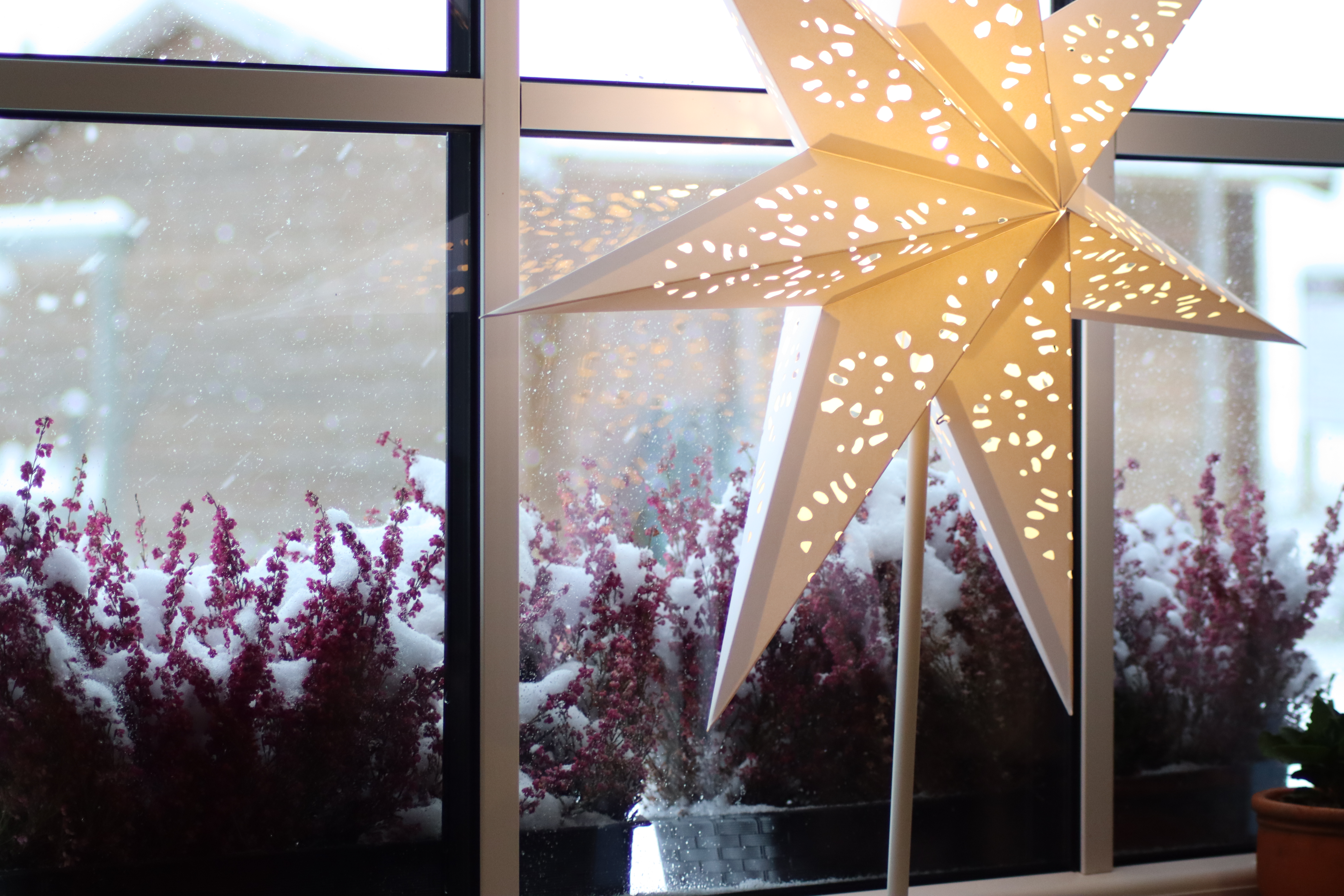 Joulukoristeet Alpakafarmilla