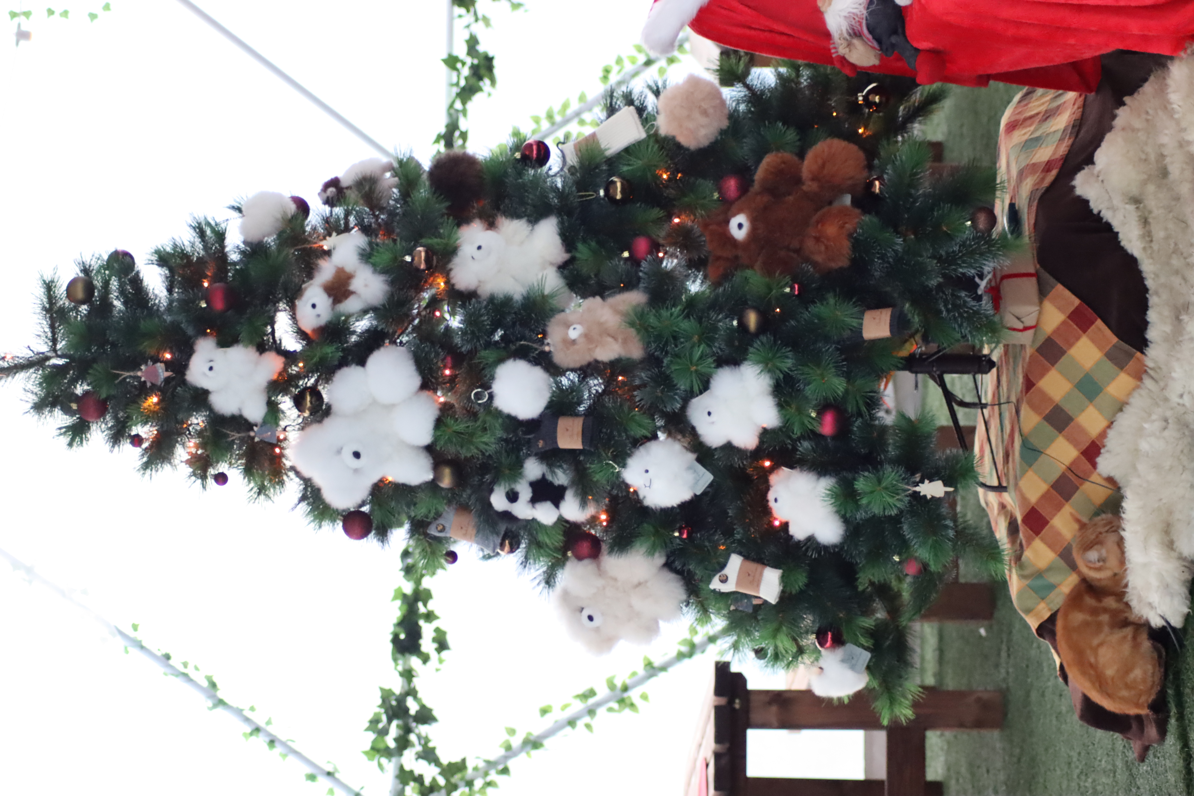 Lahjat Alpakafarmilta!