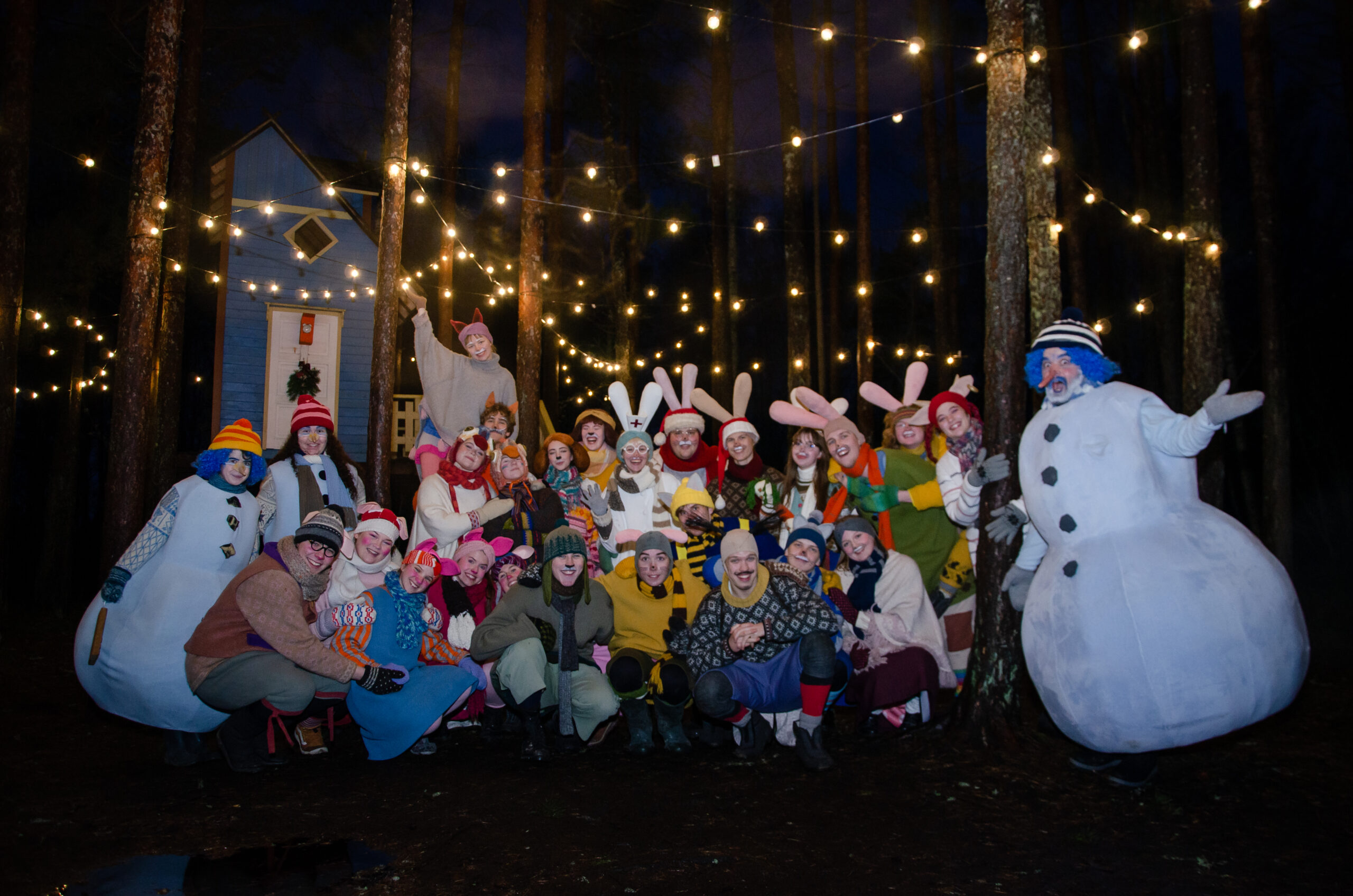 At Christmas time, Gadgetville transforms into a winter wonderland. The villagers decorate their homes, gardens, and forest paths, and our visitors ar