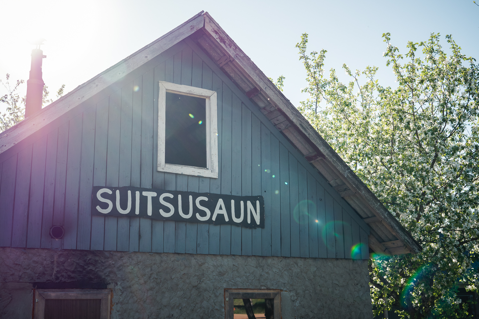 Suitsusaun