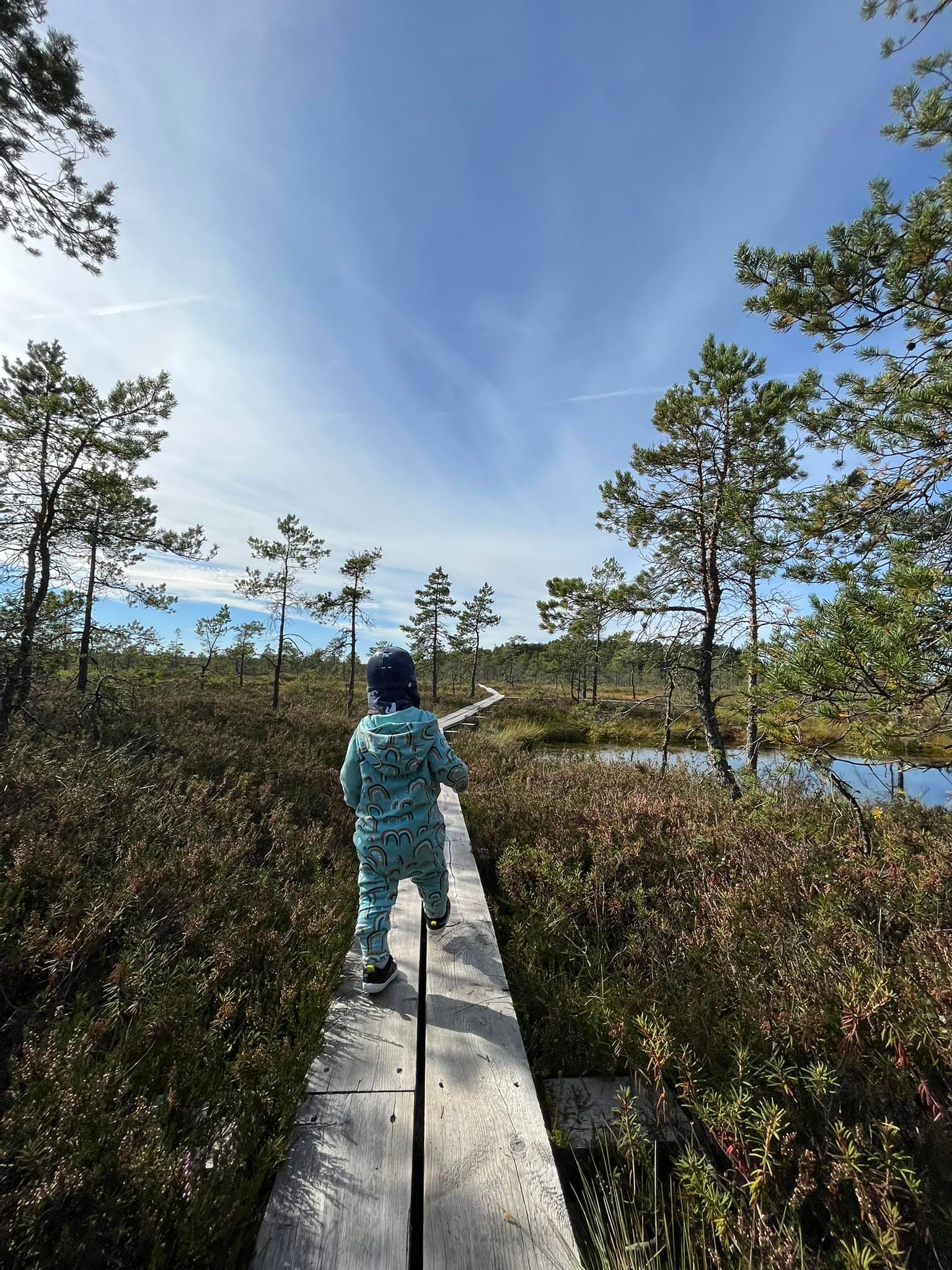 Loosalu raba laudtee