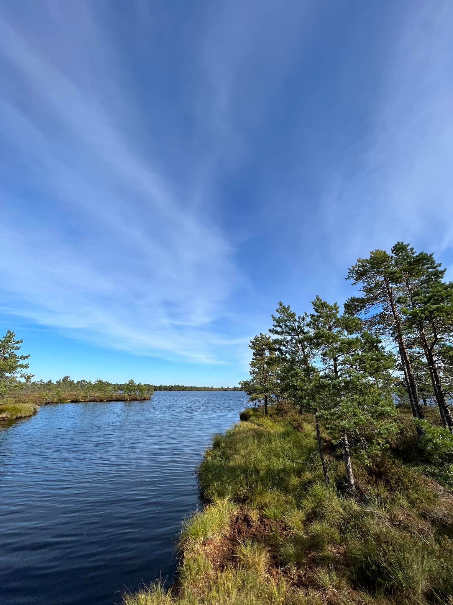 Loosalu rabajärv suvel