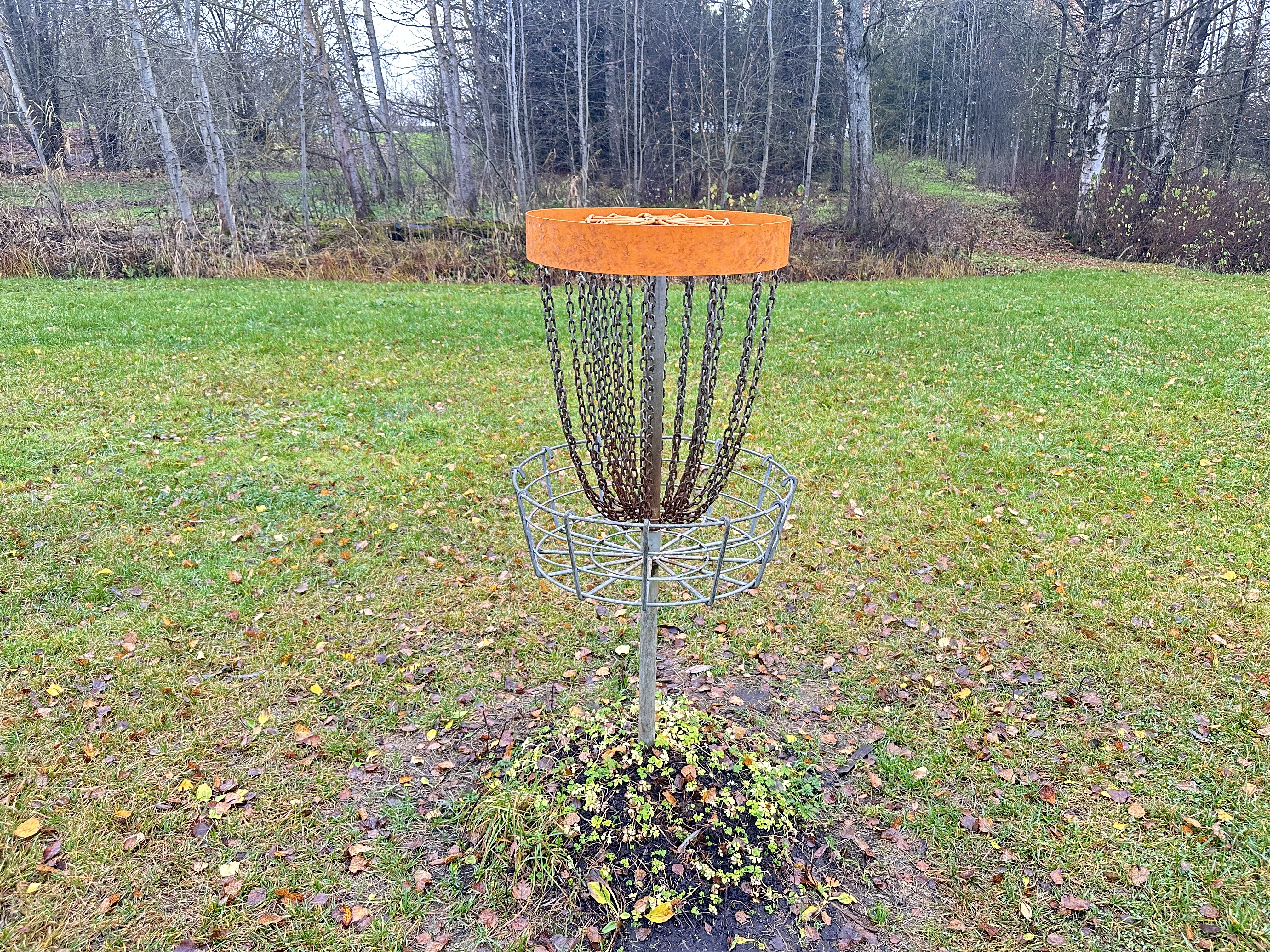 Tartu Tähtvere Dendro discgolfi pargi korv