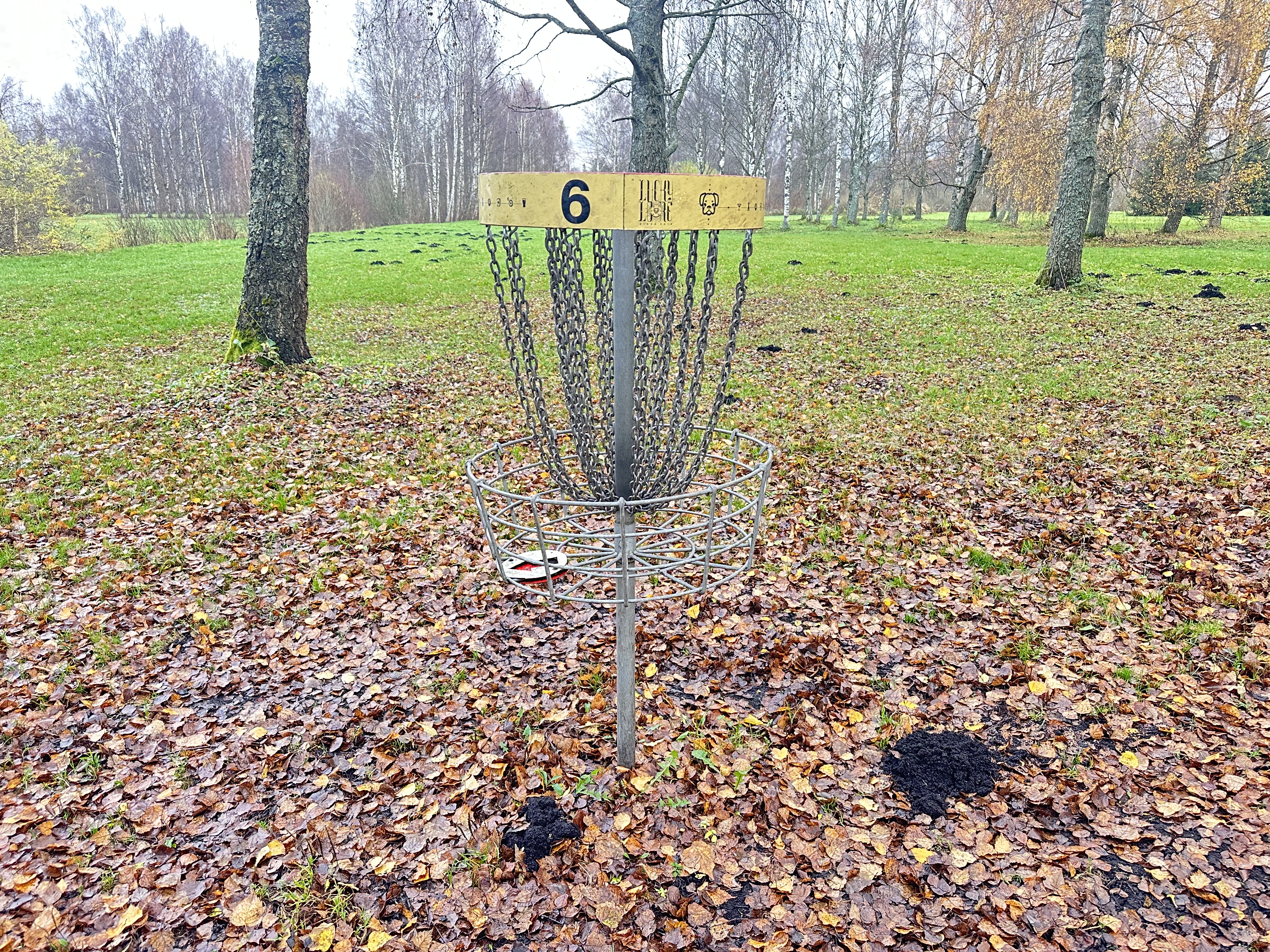 Tartu Tähtvere Dendro discgolfi pargi korv
