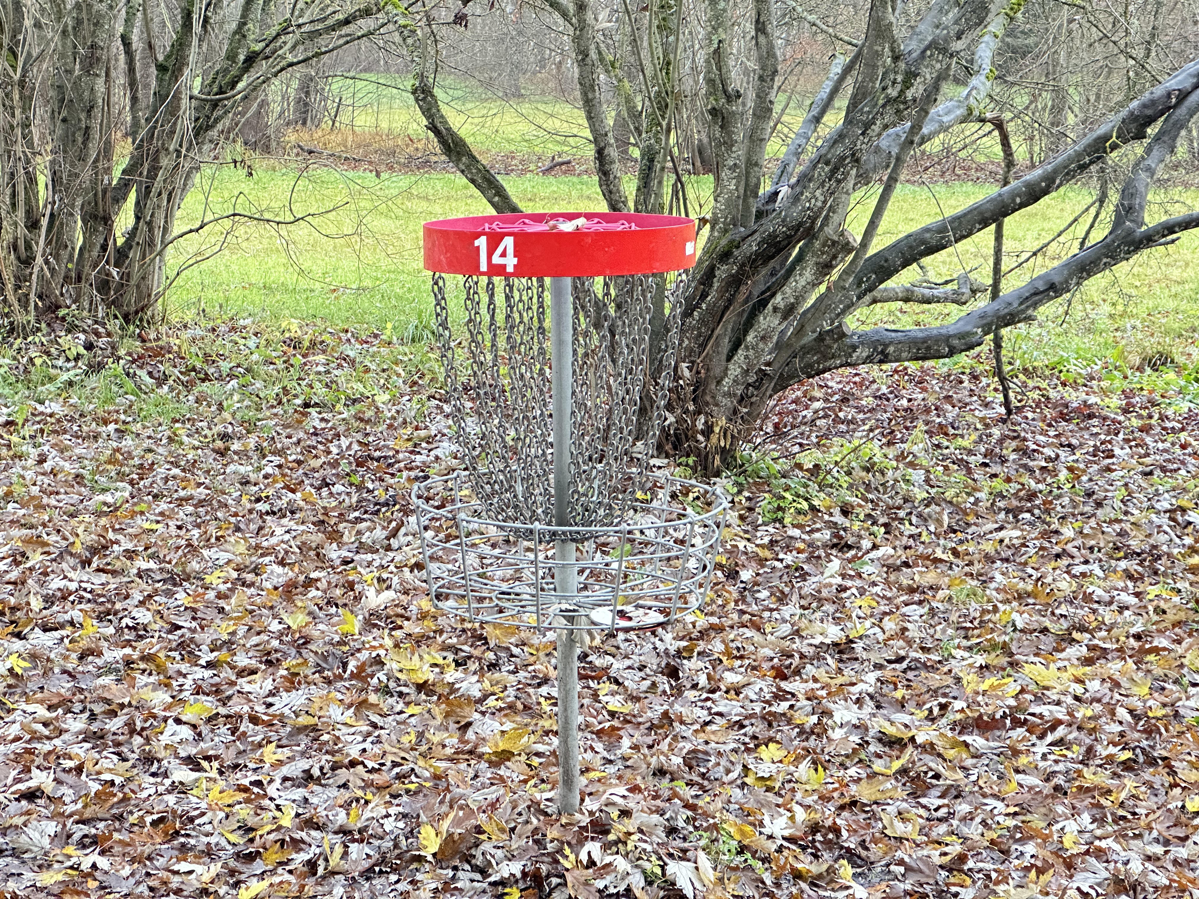 Tartu Tähtvere Dendro discgolfi pargi korv