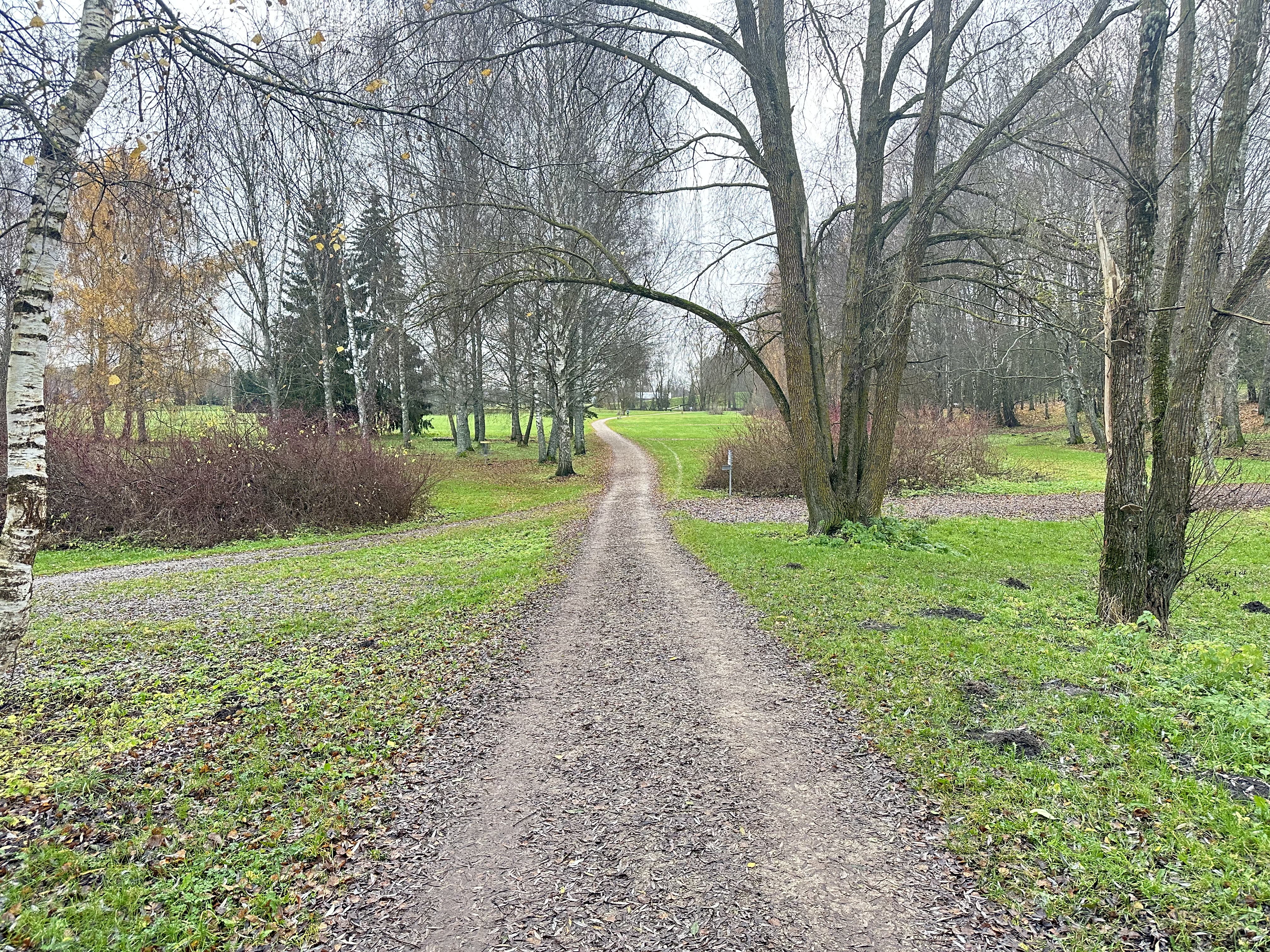 Tartu Tähtvere Dendro discgolfi pargi teerada
