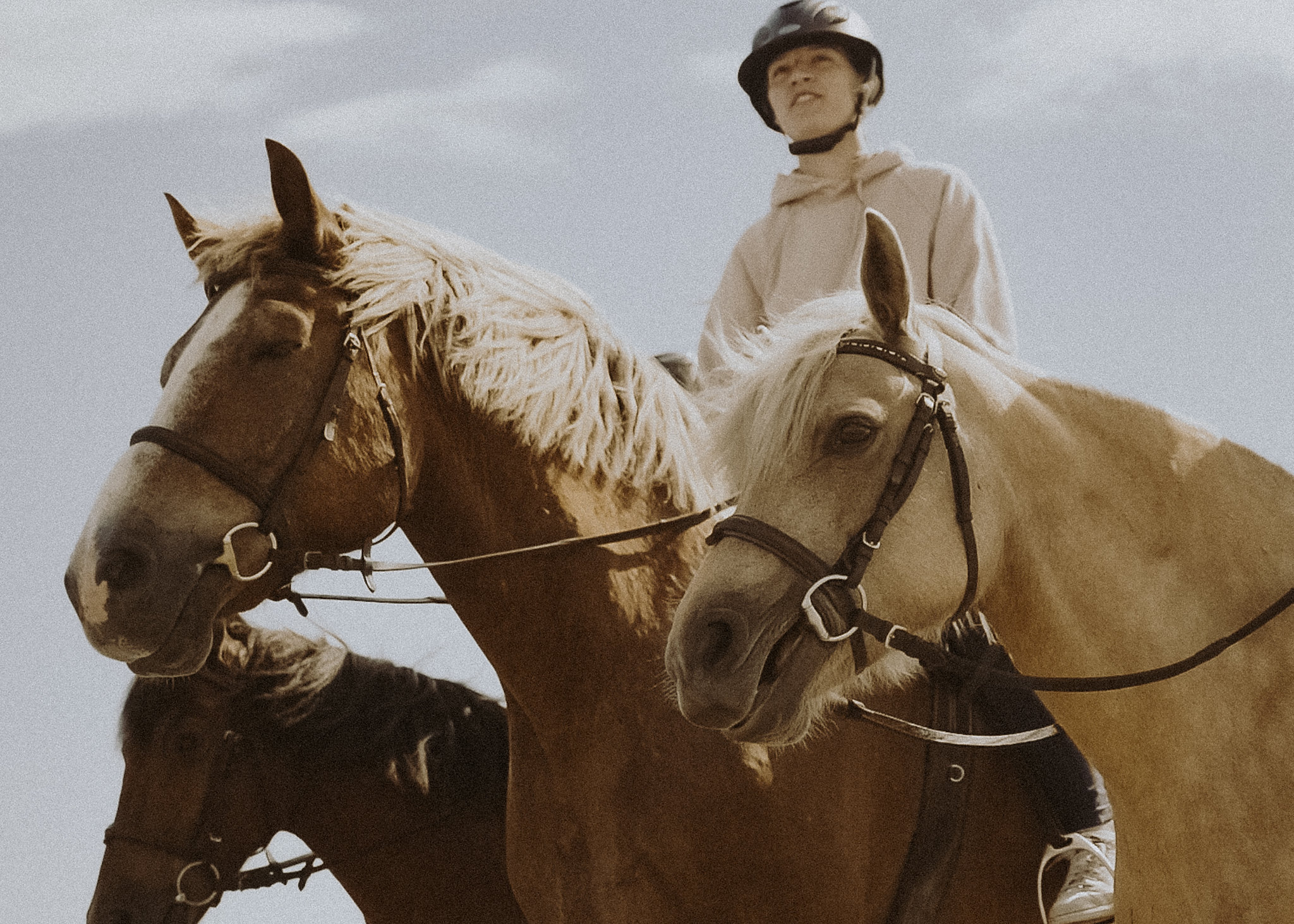 Guided tour at Tori Horse Breeding Farm