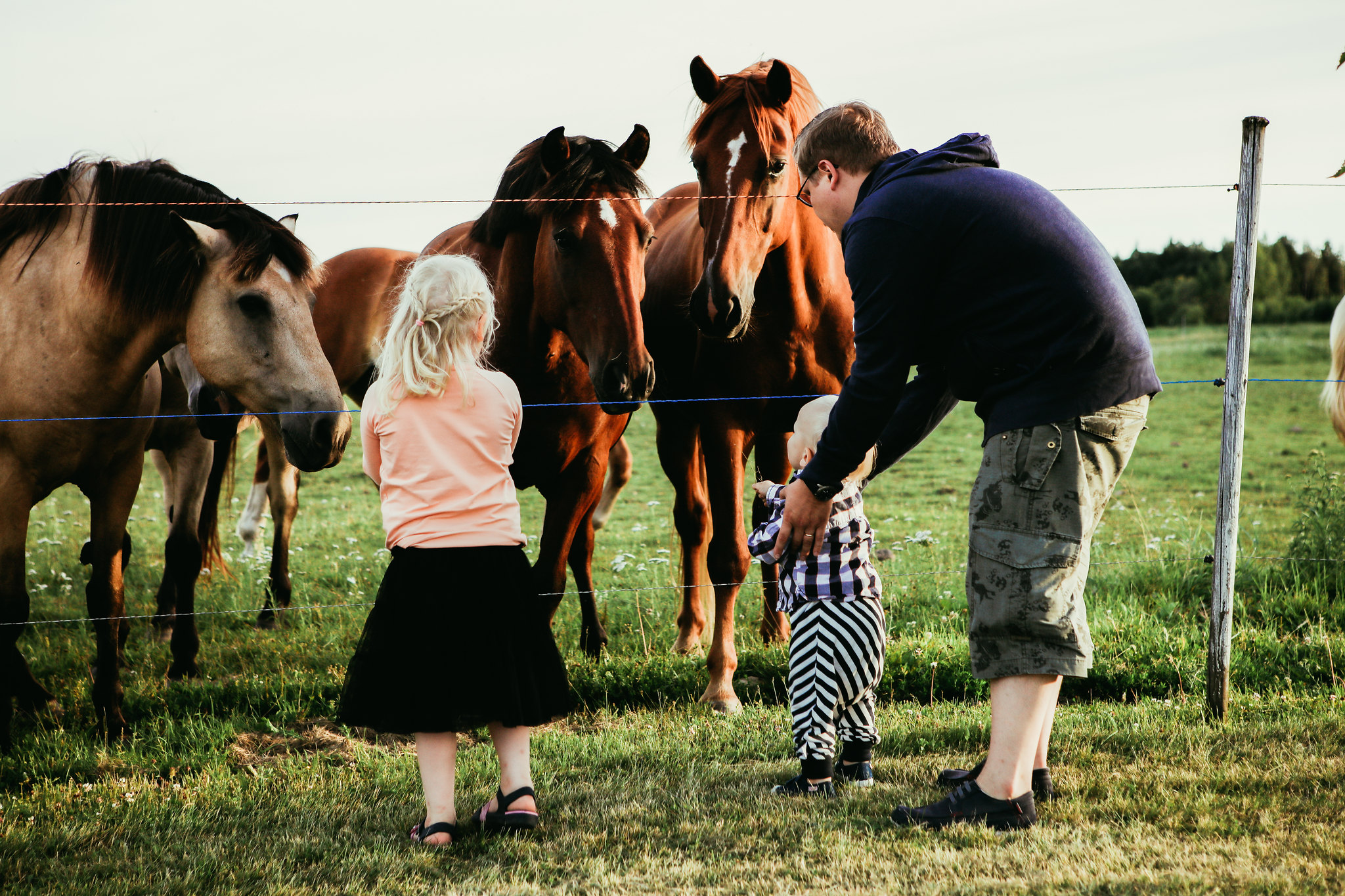 The family is getting acquainted with the horses at the farm.