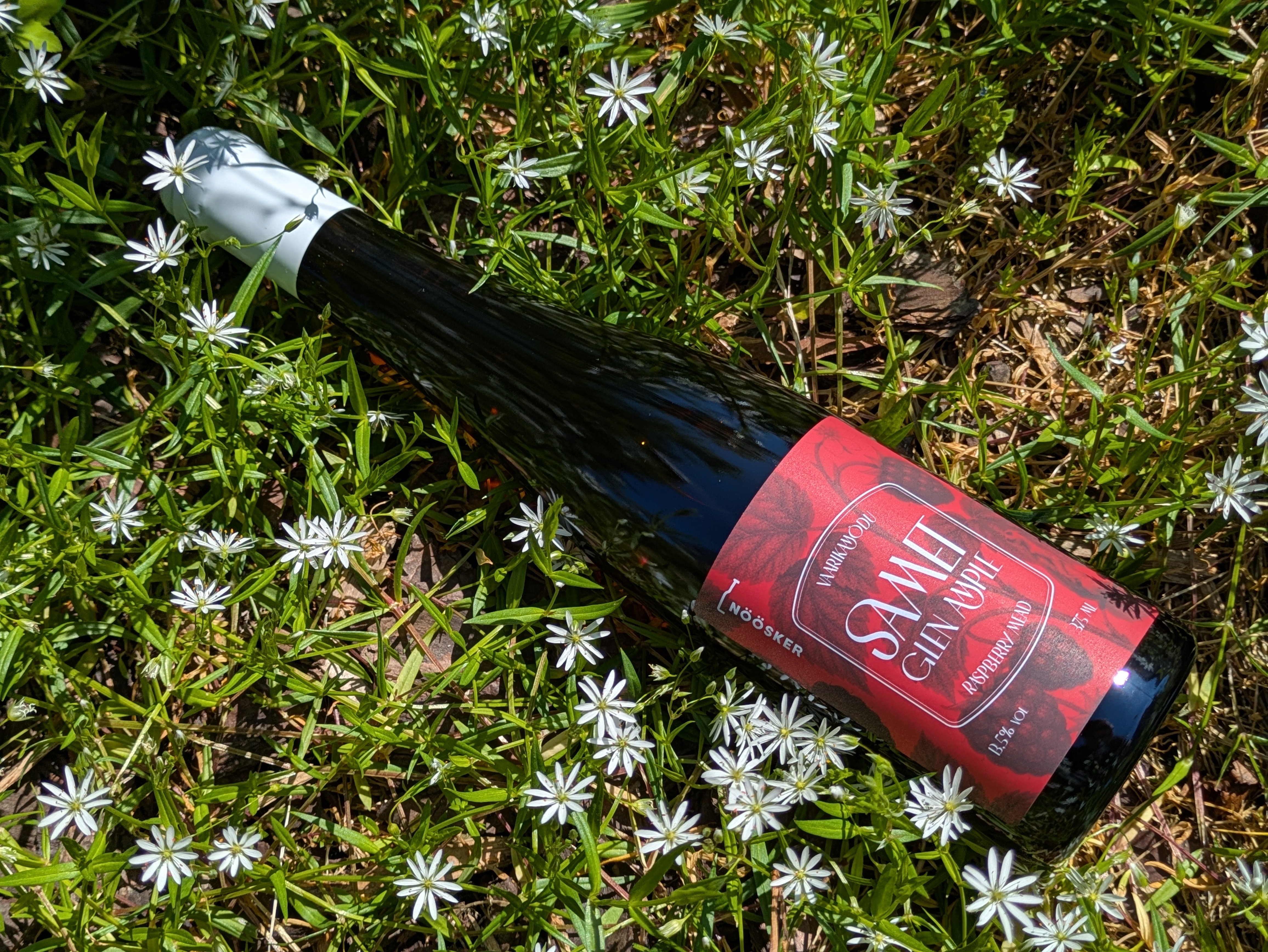 Samet Glen Ample, raspberry mead