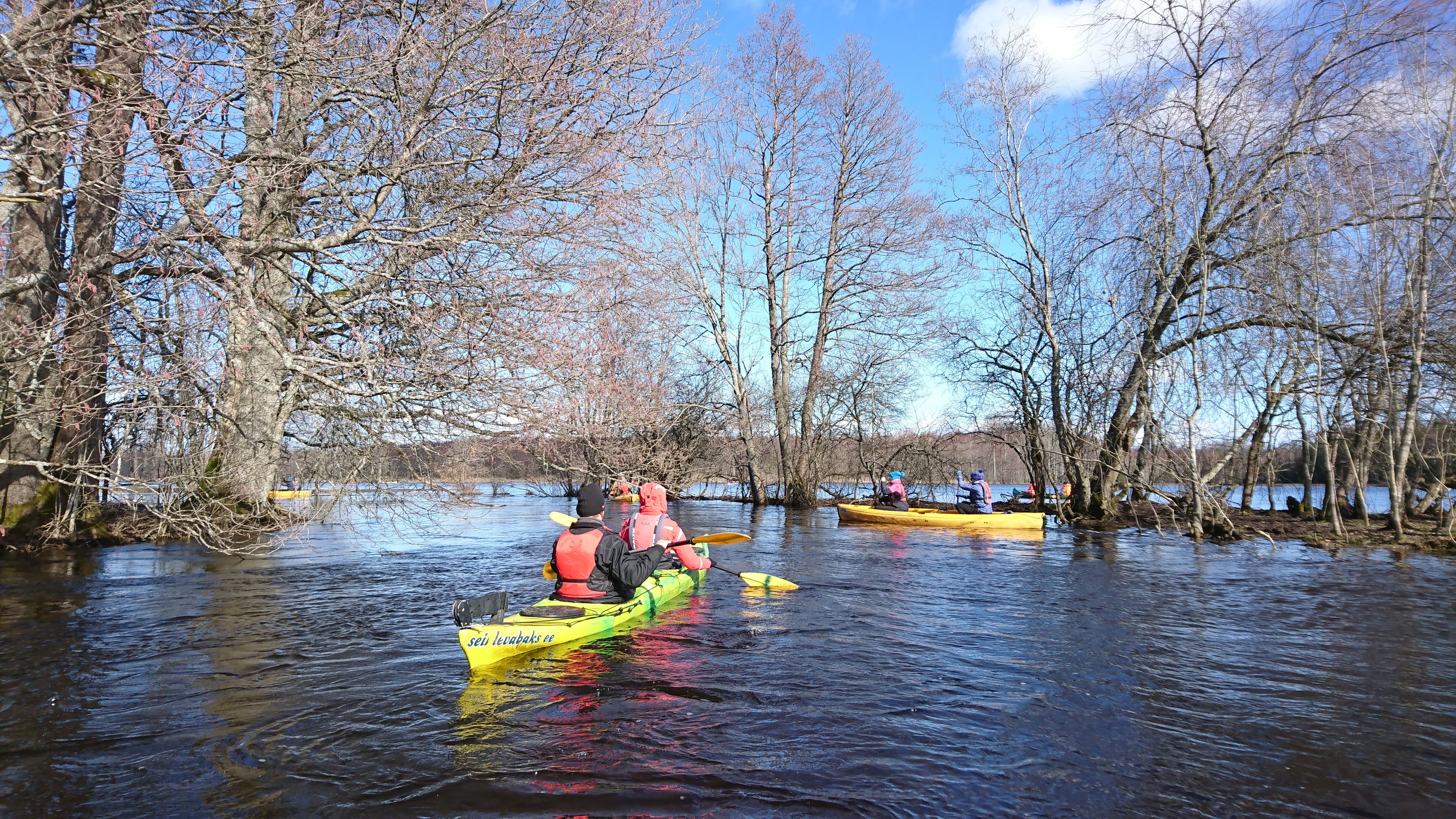 Seikle Vabaks kajaki- või kanuumatk Soomaa rahvuspargi suurveel