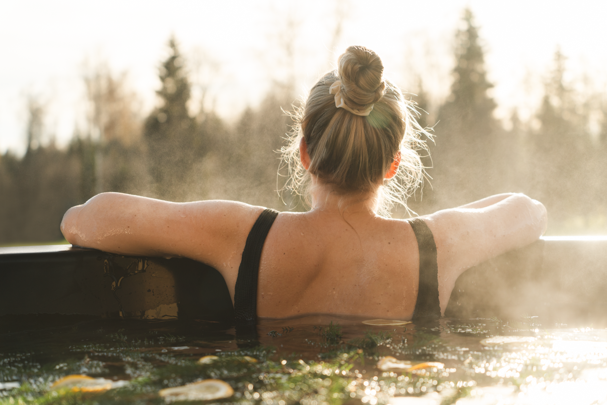 Toosikannu Looduspark Metsaspaa