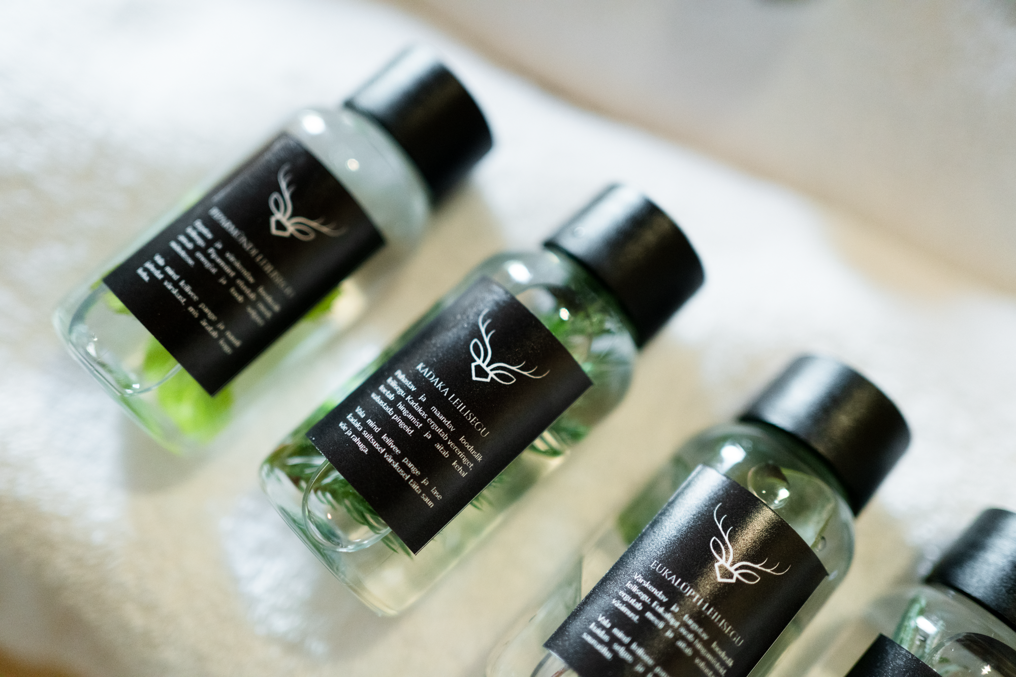 Toosikannu Looduspark Metsaspaa