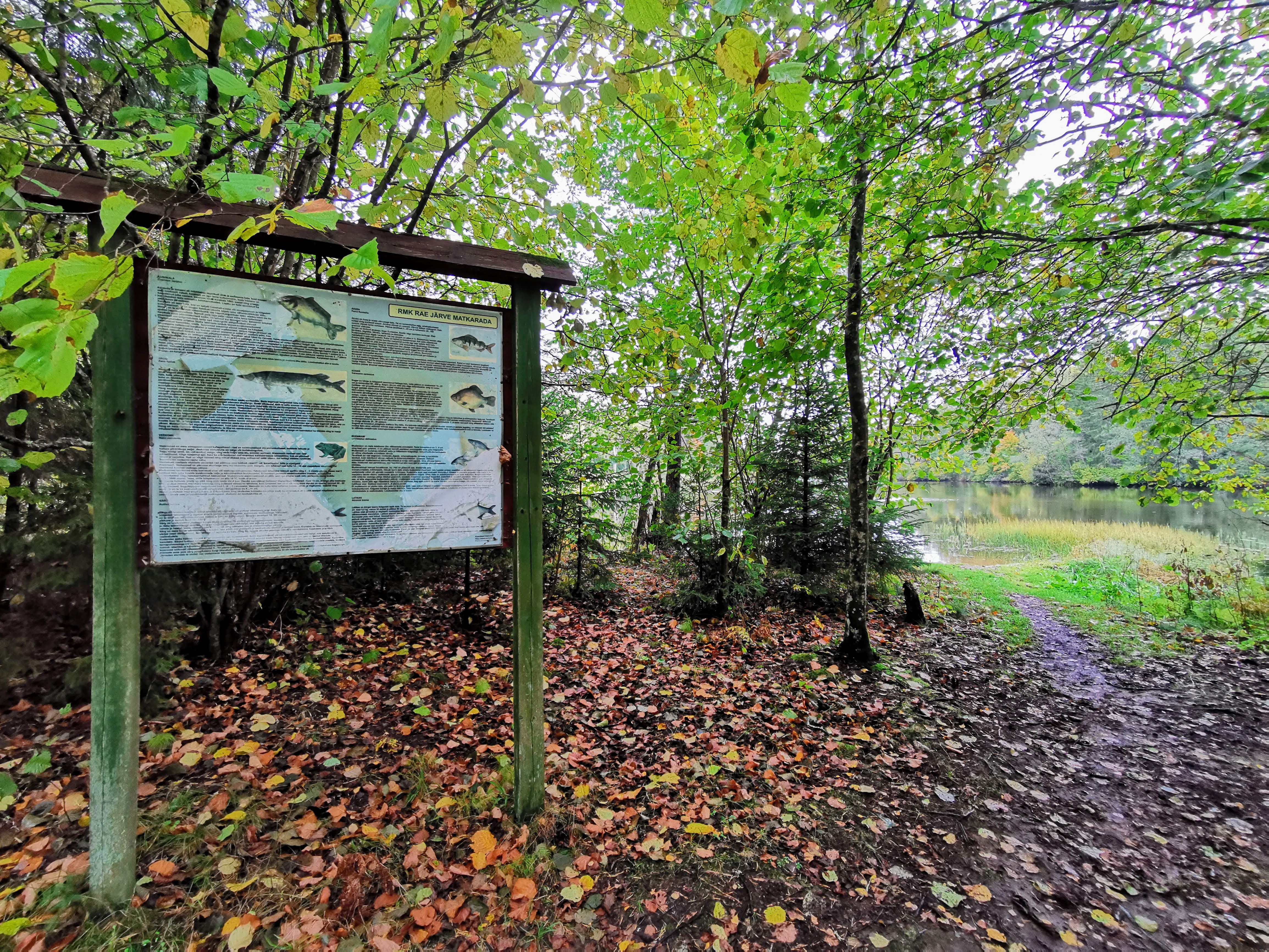 Pärnumaal asuva Rae järve kalastikku tutvustav infostend