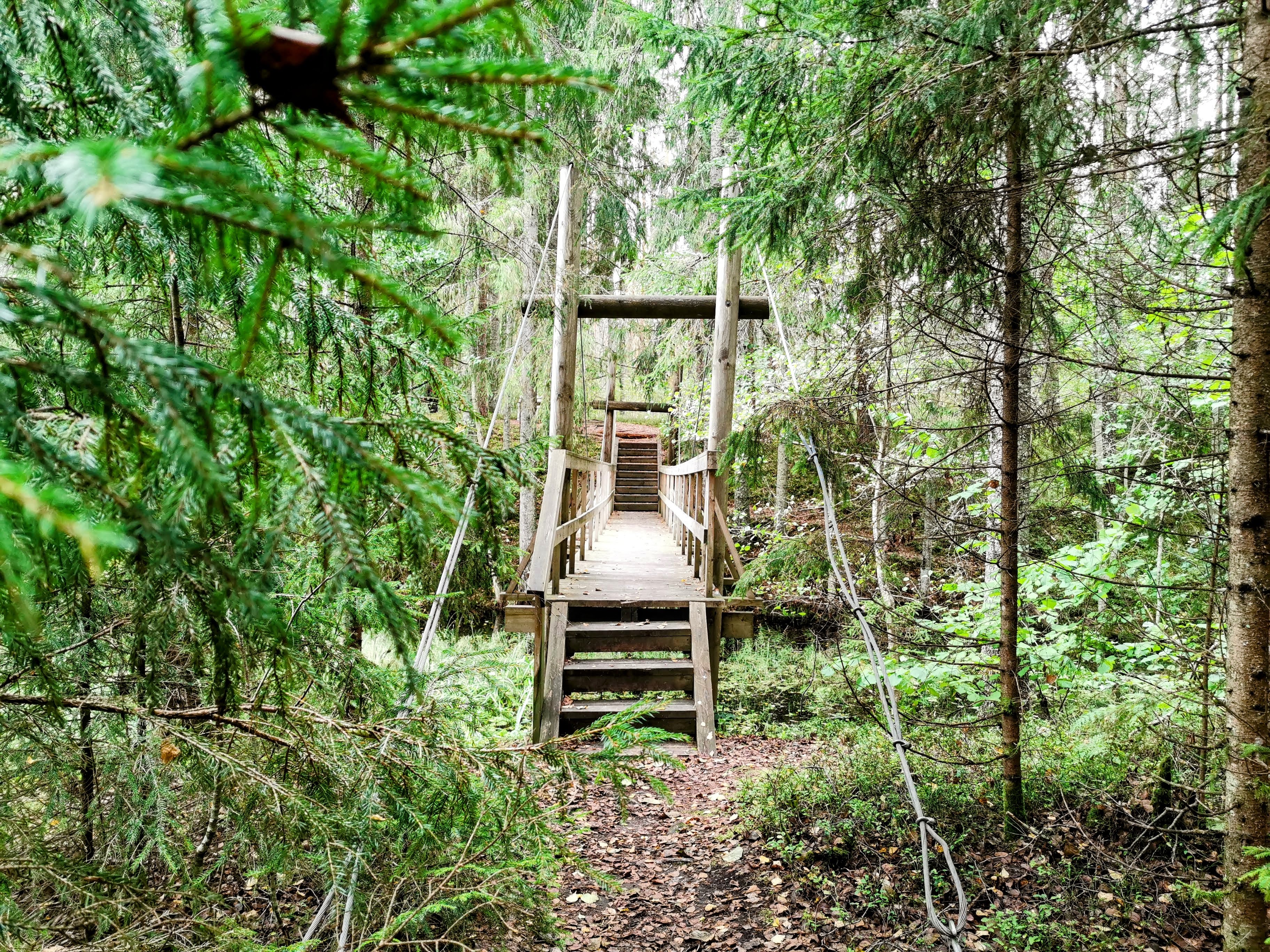 Rae järve matkarada ja telkimisala Pärnumaal