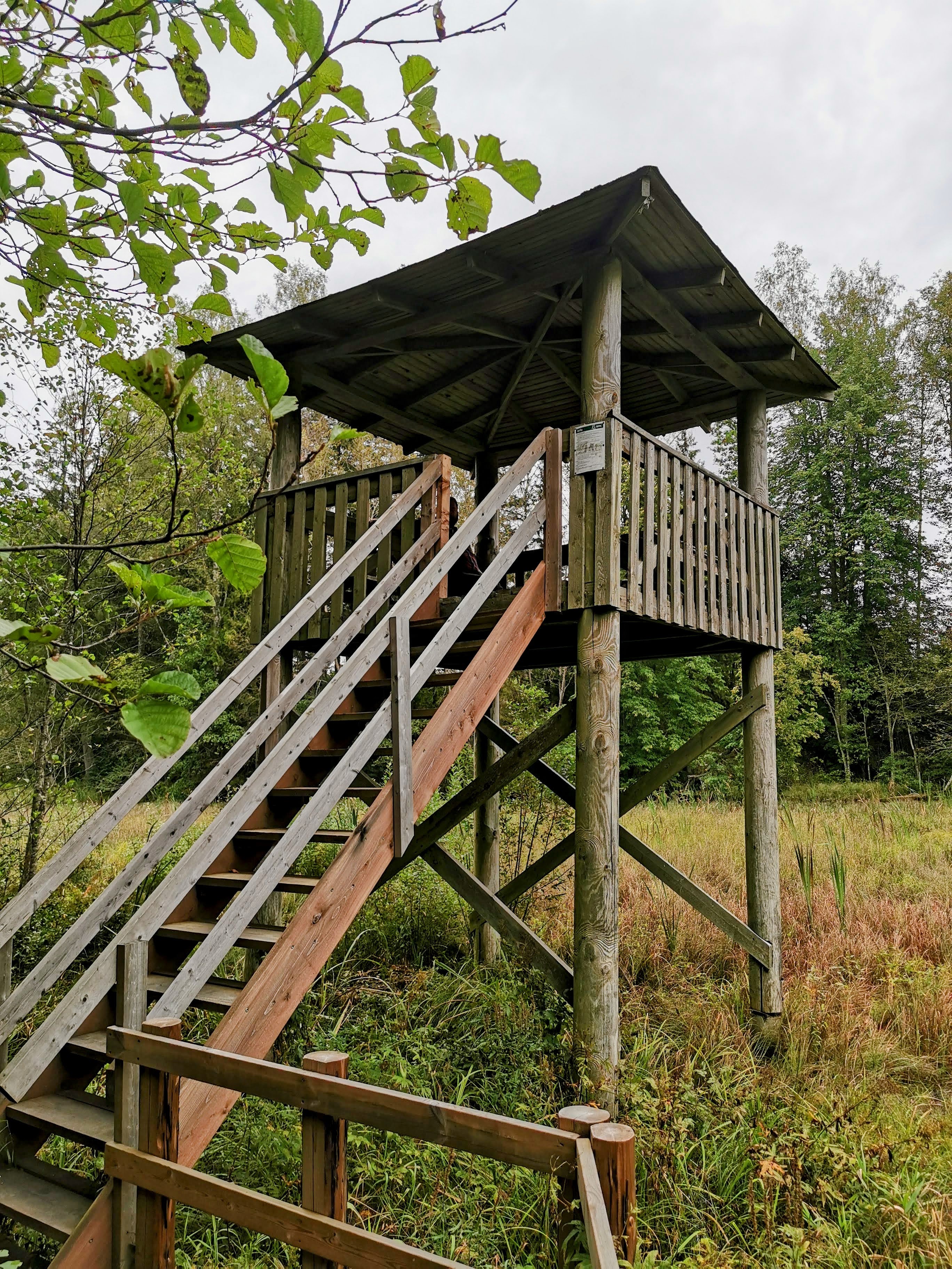 Rae järve äärne vaatetorn