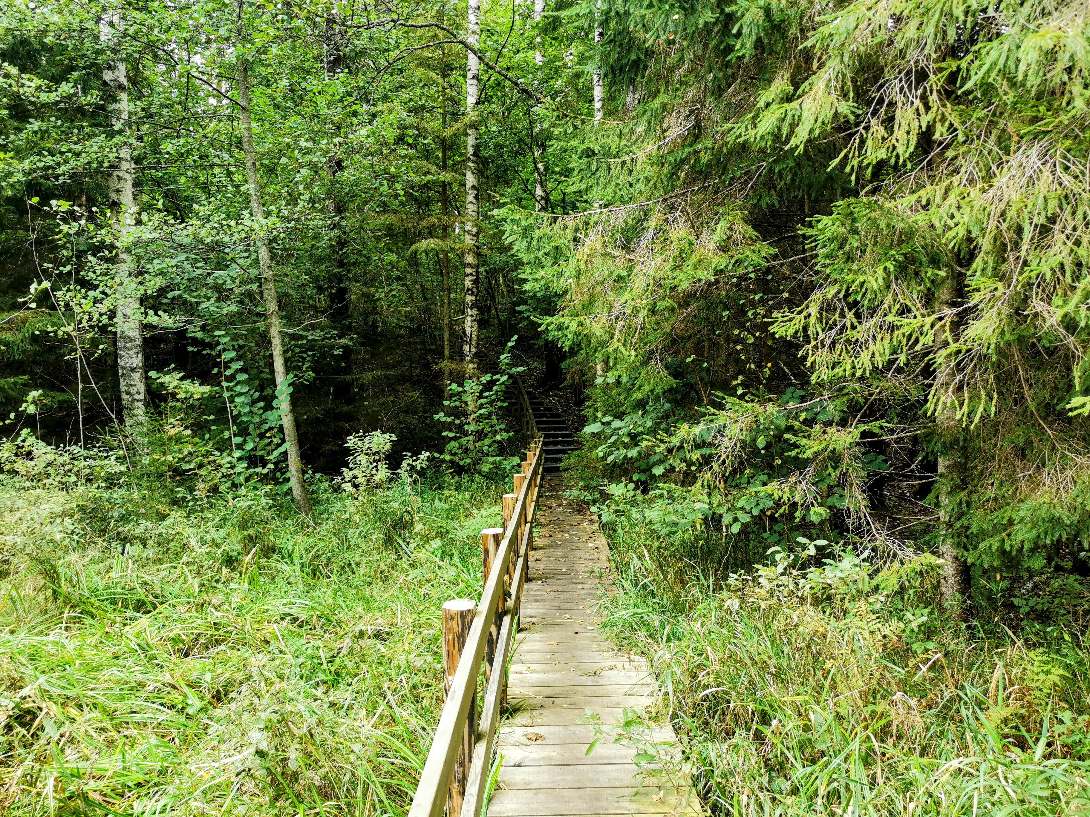 Rae järve matkarada ja telkimisala