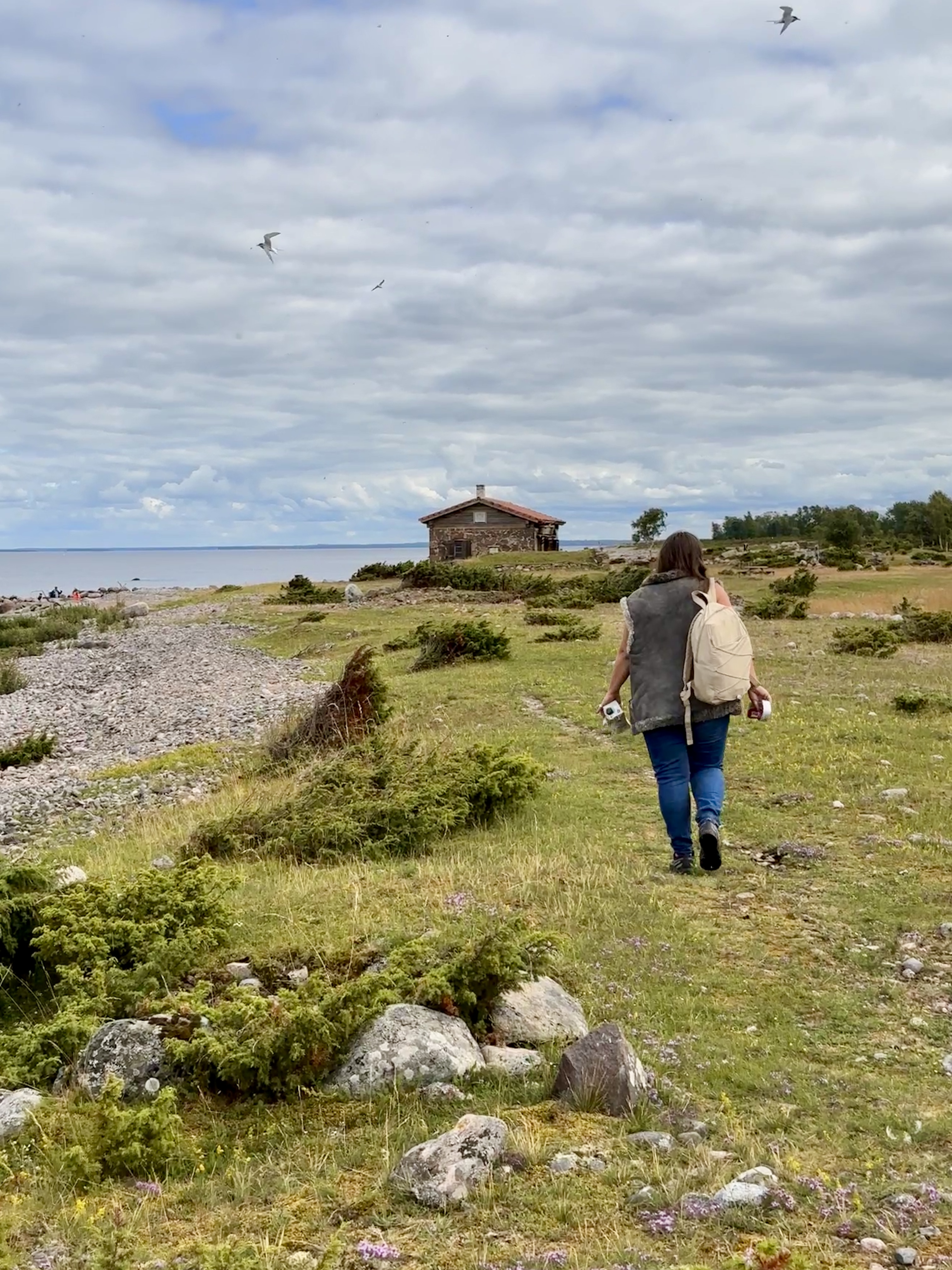 Trip to Aksi Island, nature and birds
