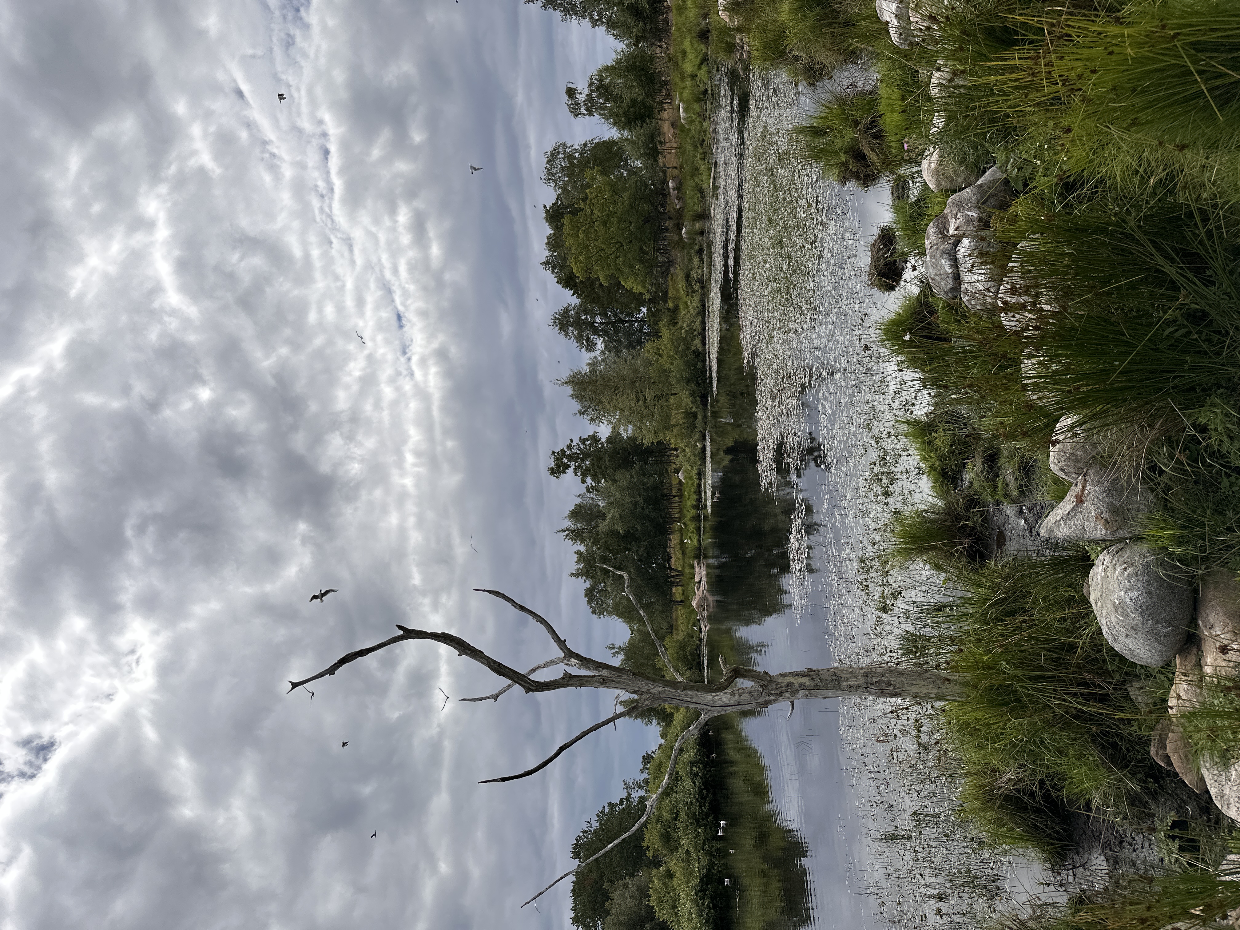 The diverse nature of Aksi Island