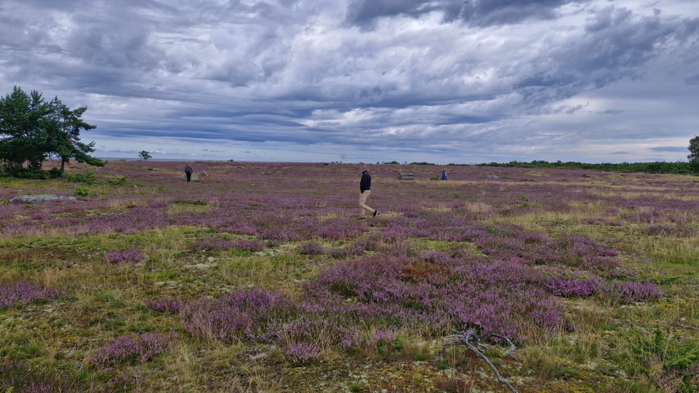 The diverse nature of Aksi Island