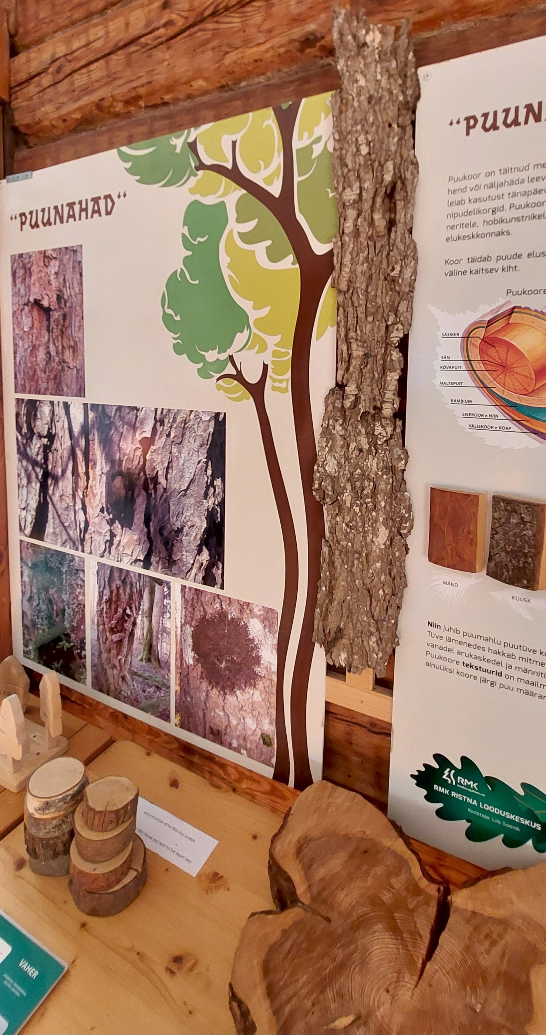 Ristna külastuskeskuse näitus puukoorte kohta
