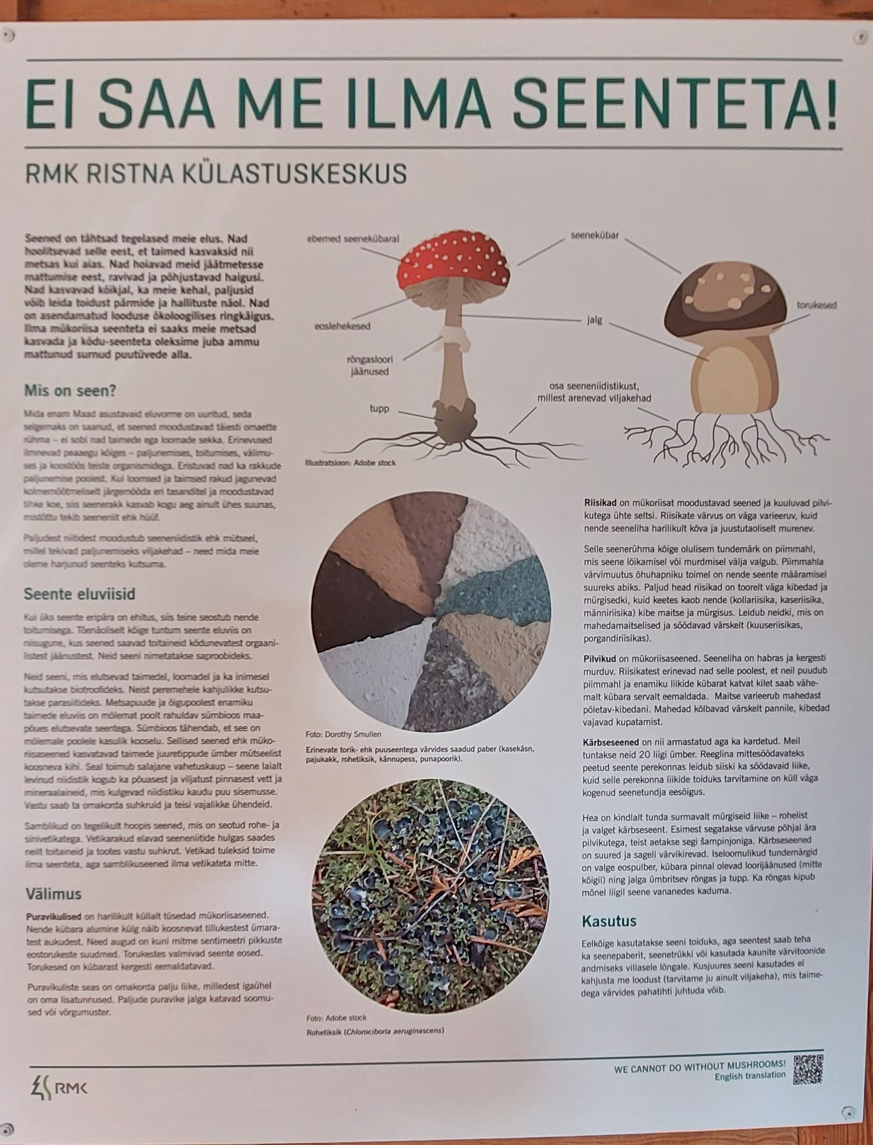Ristna külastuskeskuse näitus seente kohta