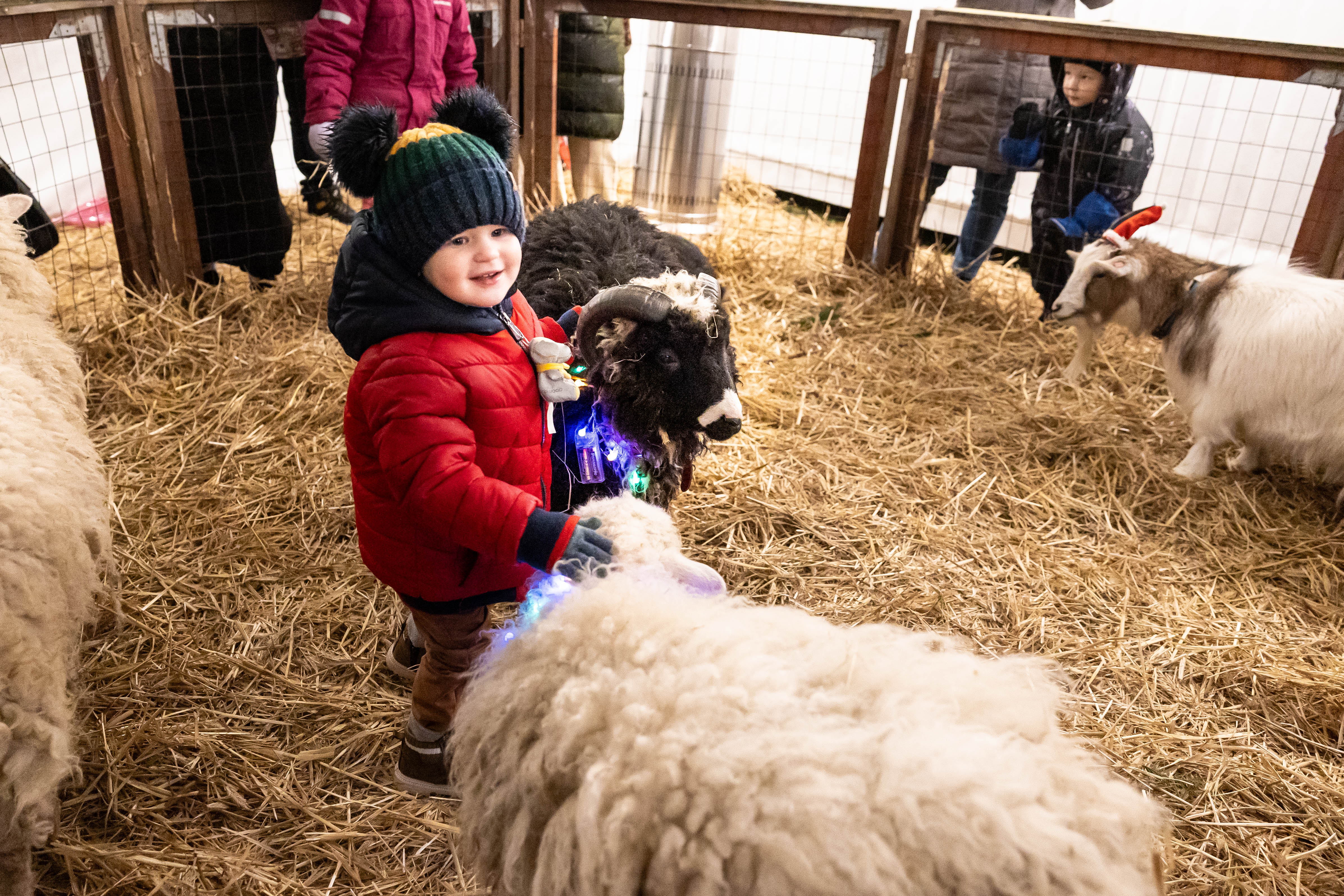 Jõulumaal ootavad paisid loomad