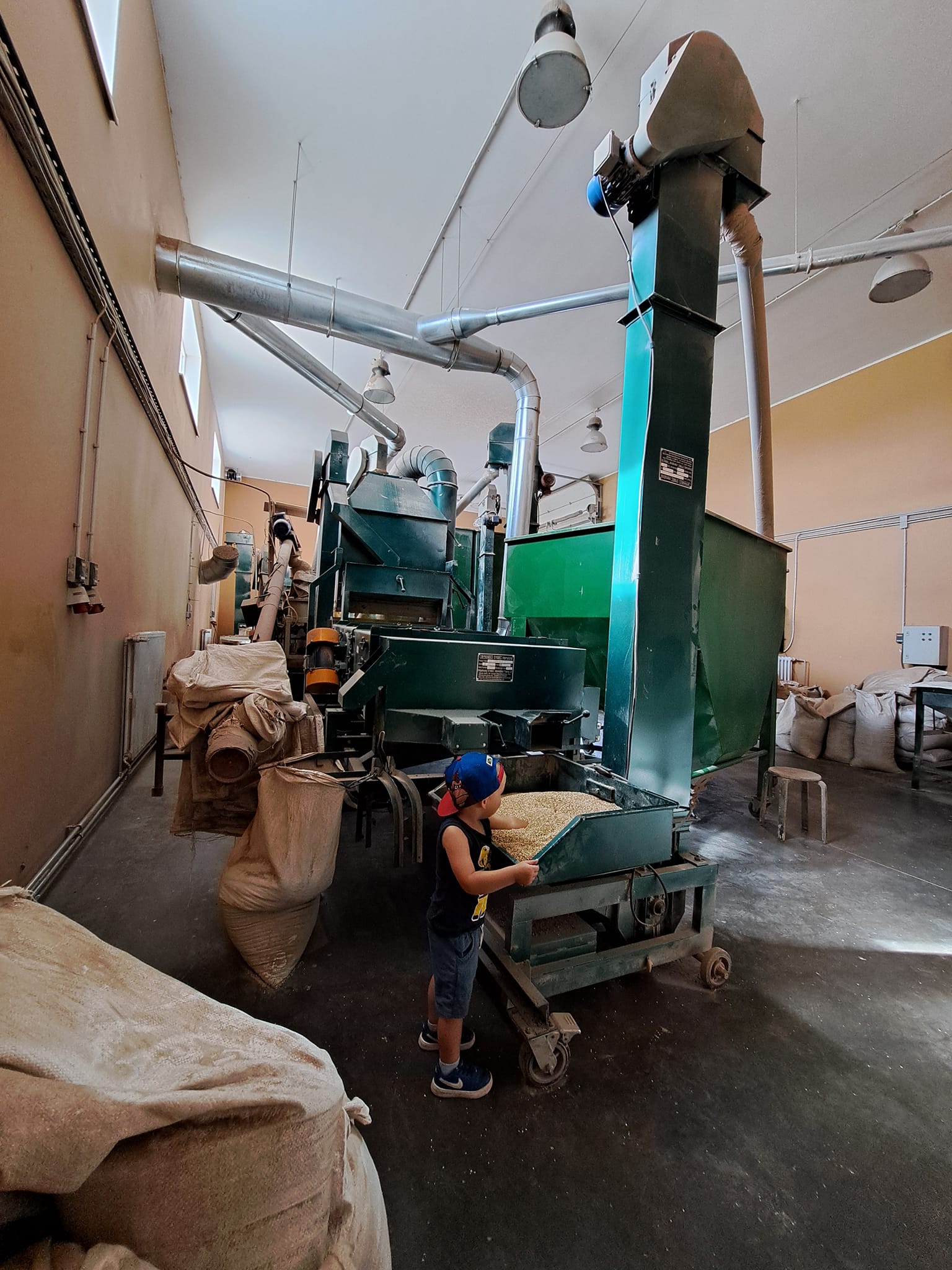 Tõrvaaugu Mahe talu tootmine