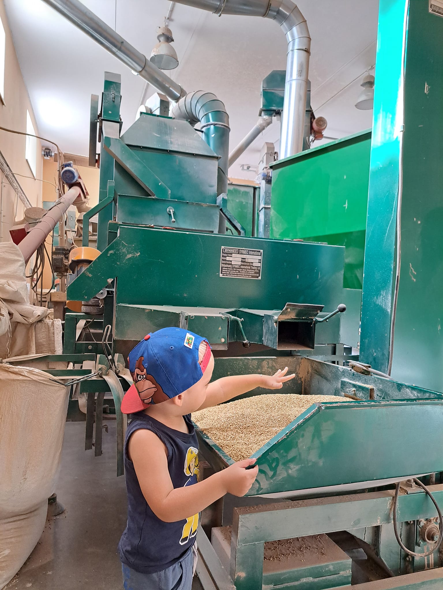 Tõrvaaugu Mahe talu tatraveski