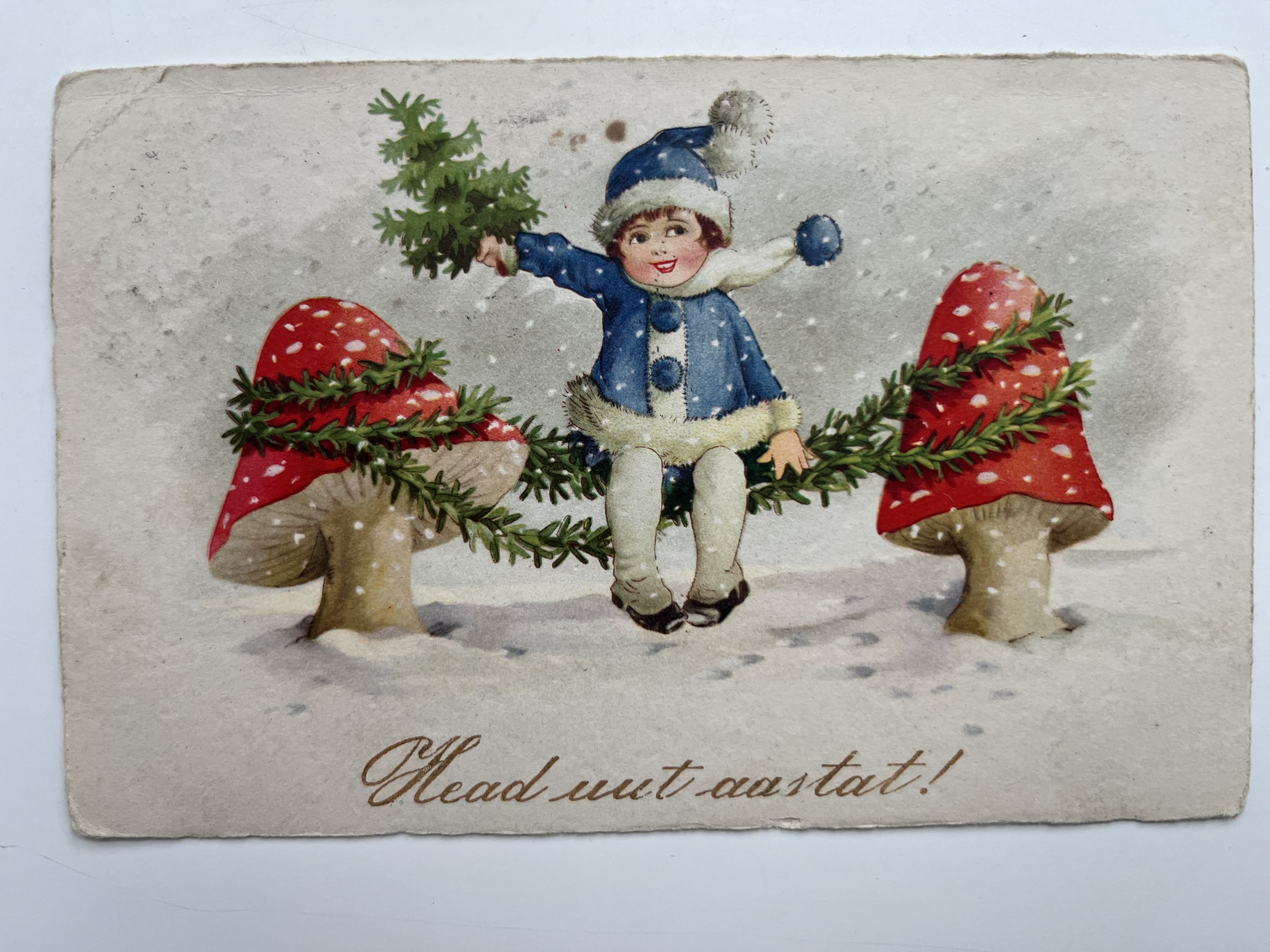 Postkaart M. Sepmanni kogust