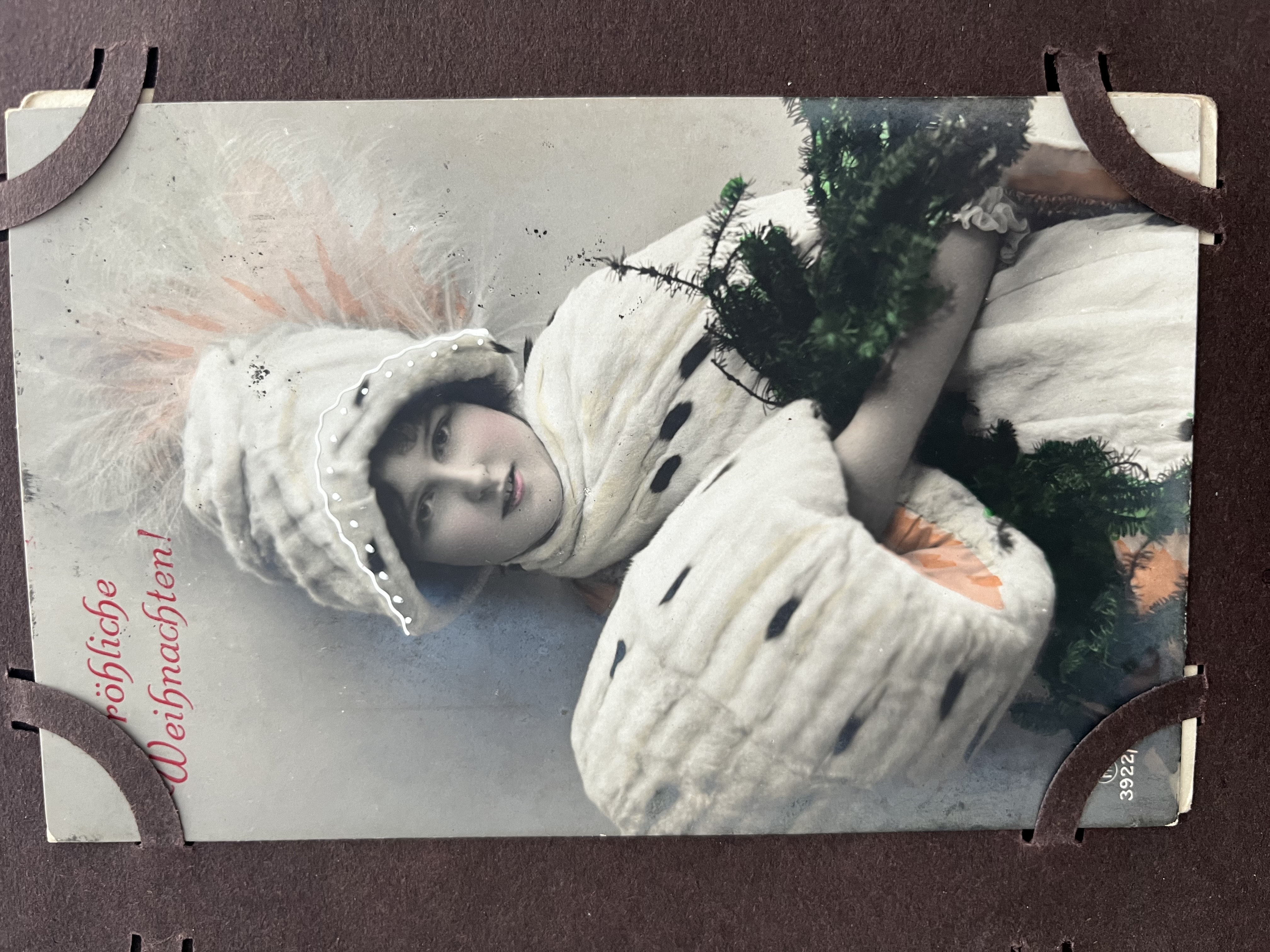 Postkaart M. Sepmanni kogust