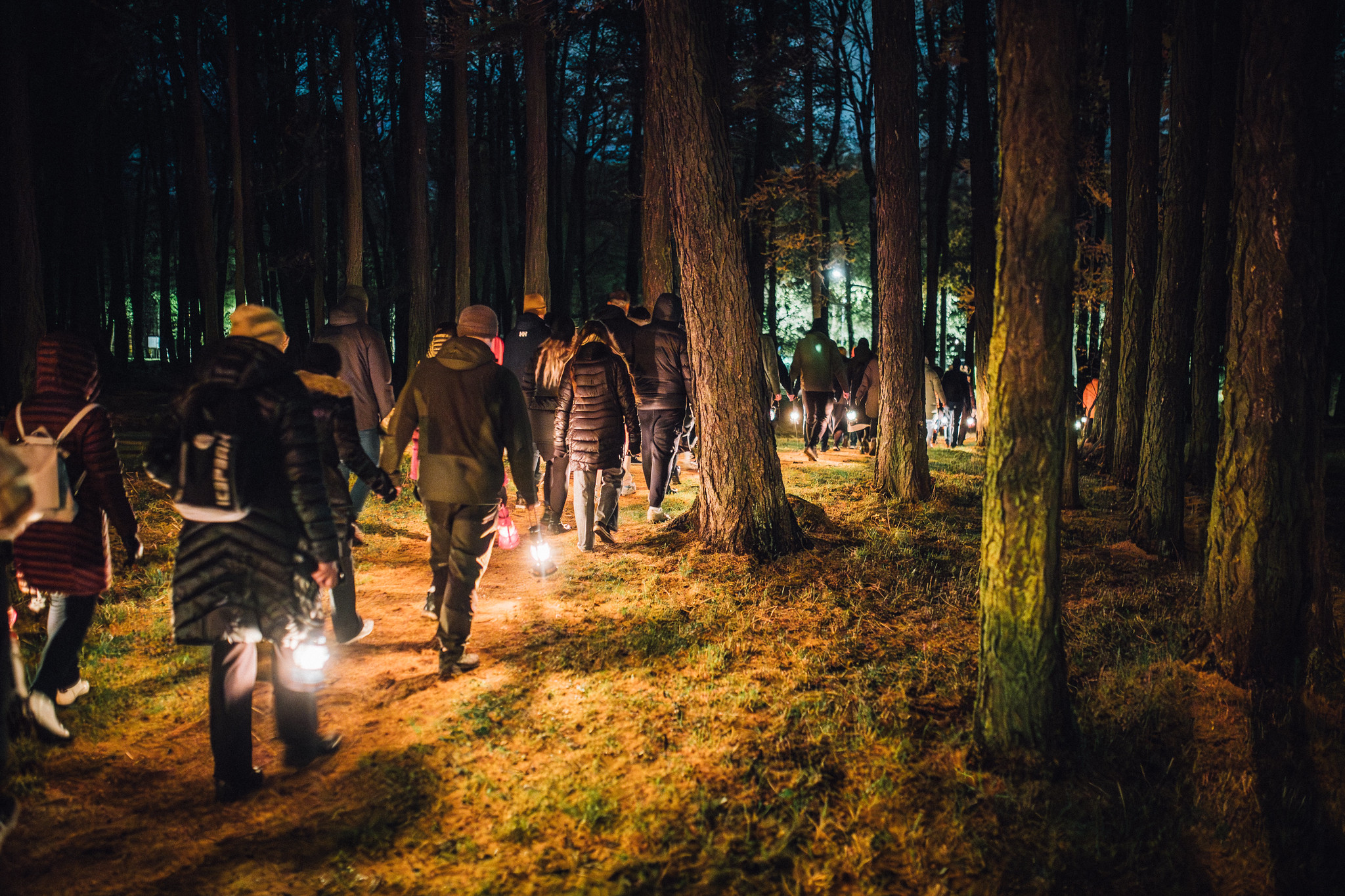 Matkalised läbi pimeda metsa minemas