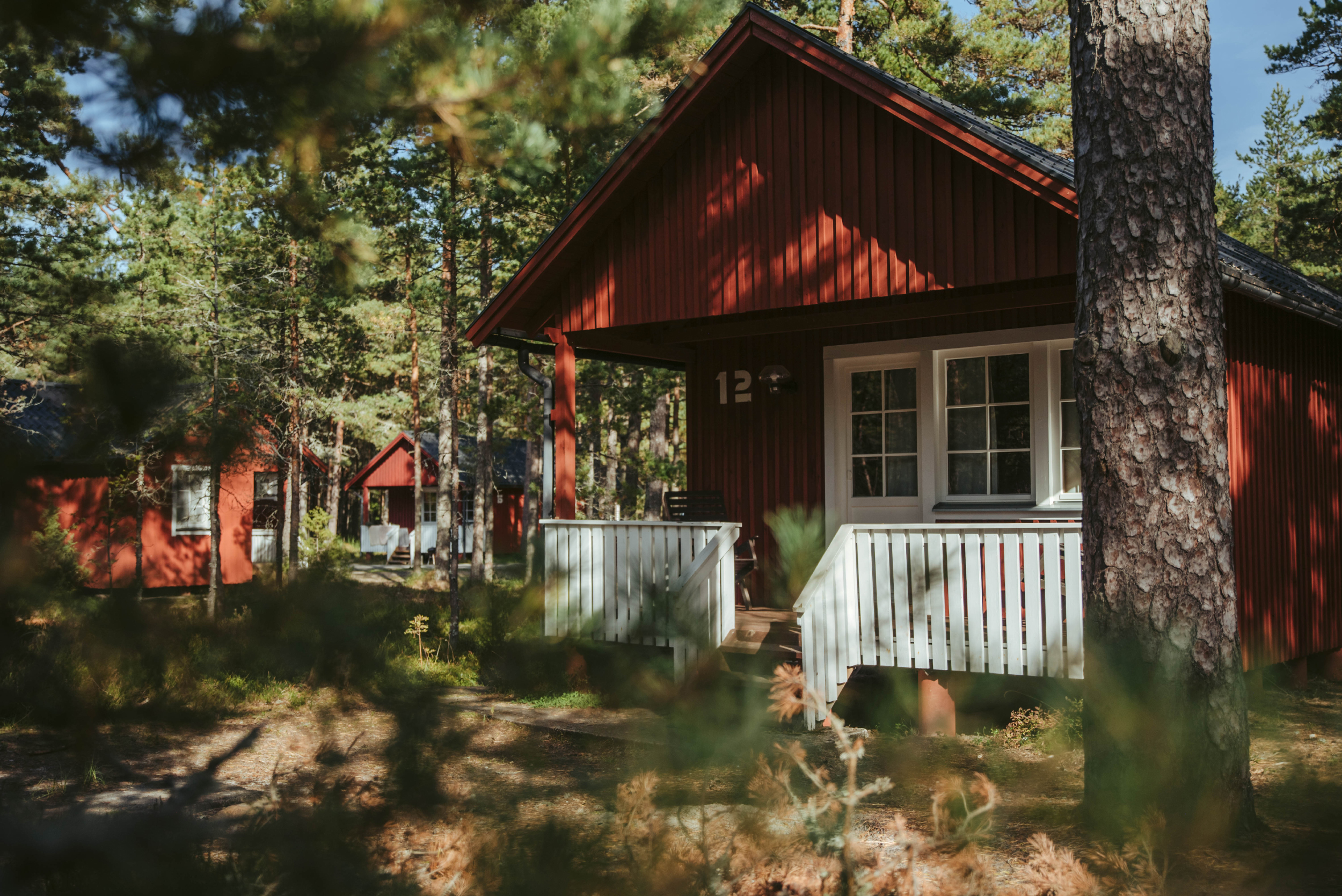 Roosta Puhkeküla puhkemajad