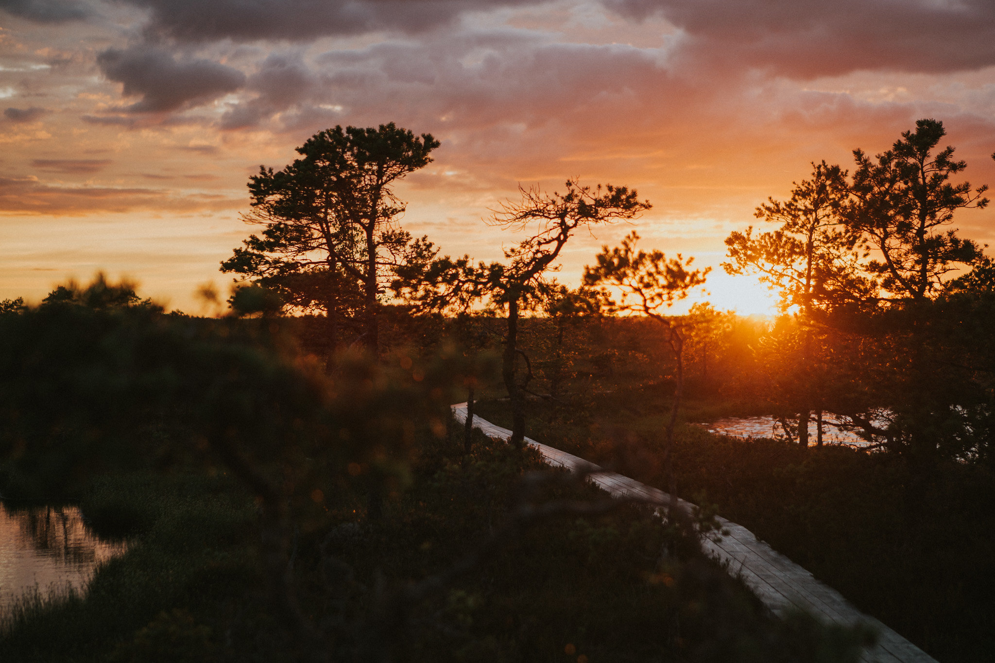 Maagiline Hüpassaare raba