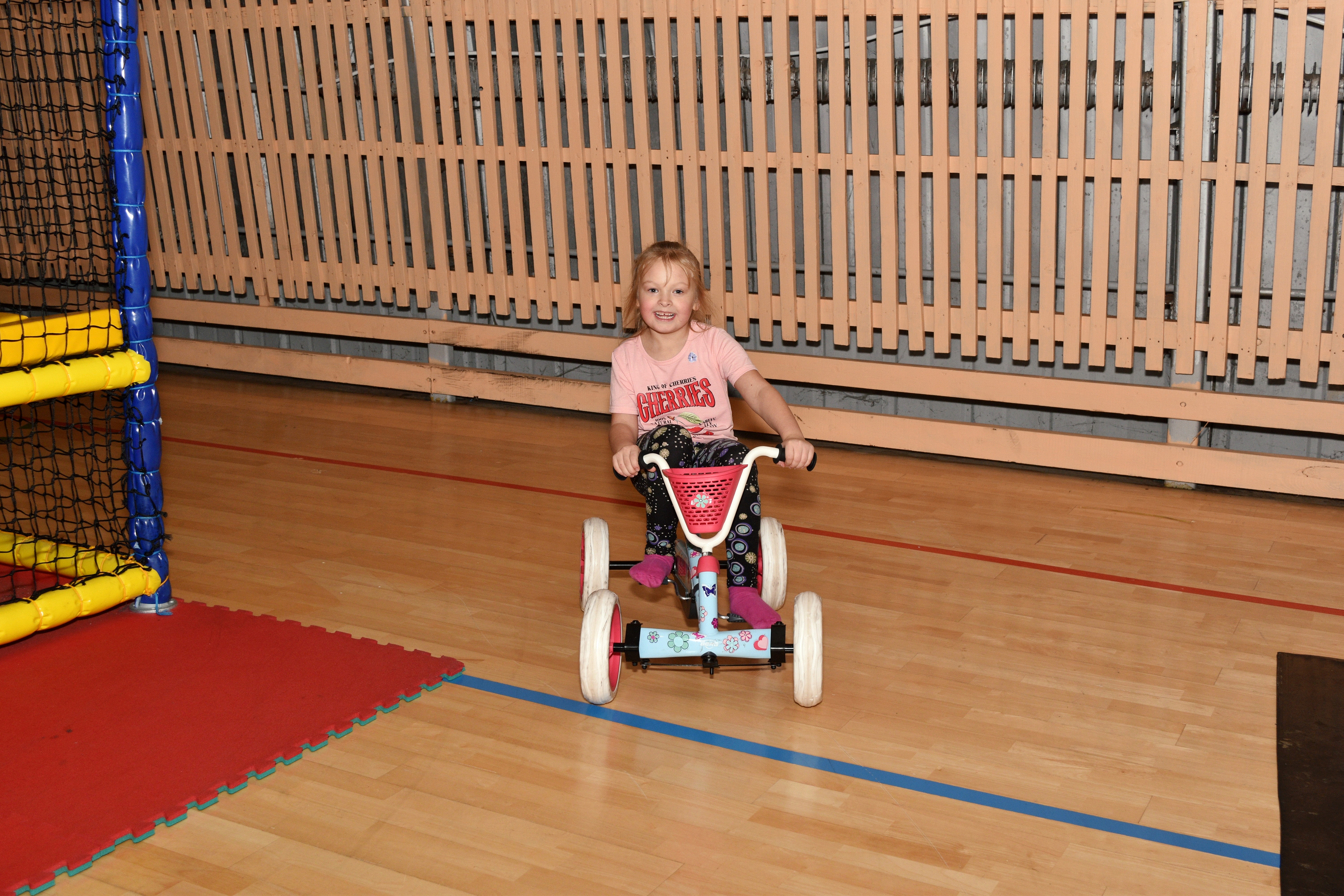 Võhma Mängumaa mitmerattalised